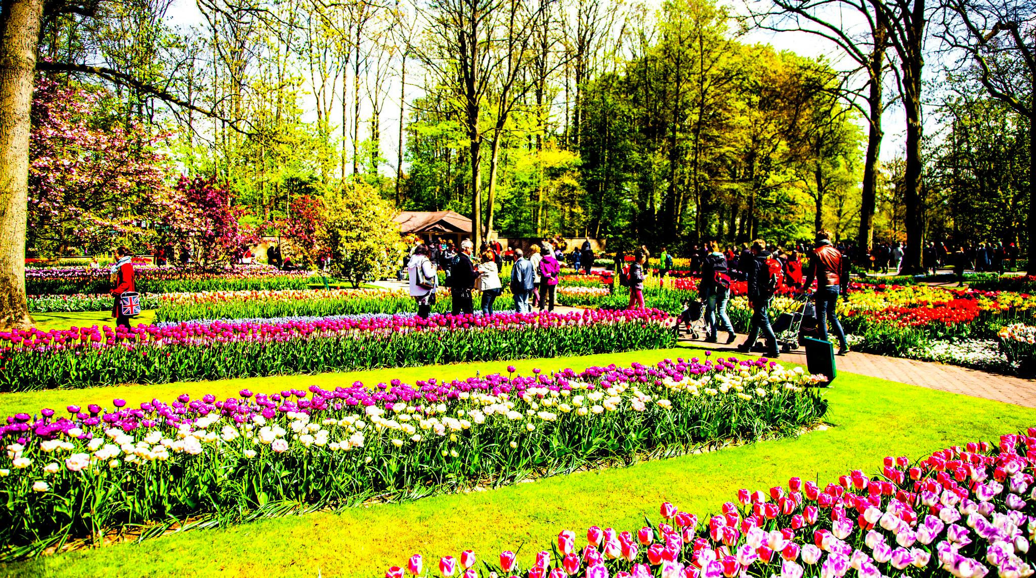 12.Keukenhof — 8 000 000…. Путешествия в формате 360......