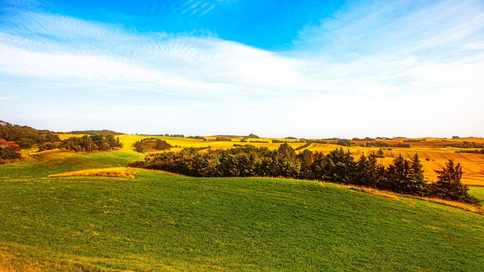 60.Kongeriget Danmark.Limfjord.Ostrov Mors.22/7-30/7/2019. Путешествия в формате 360......