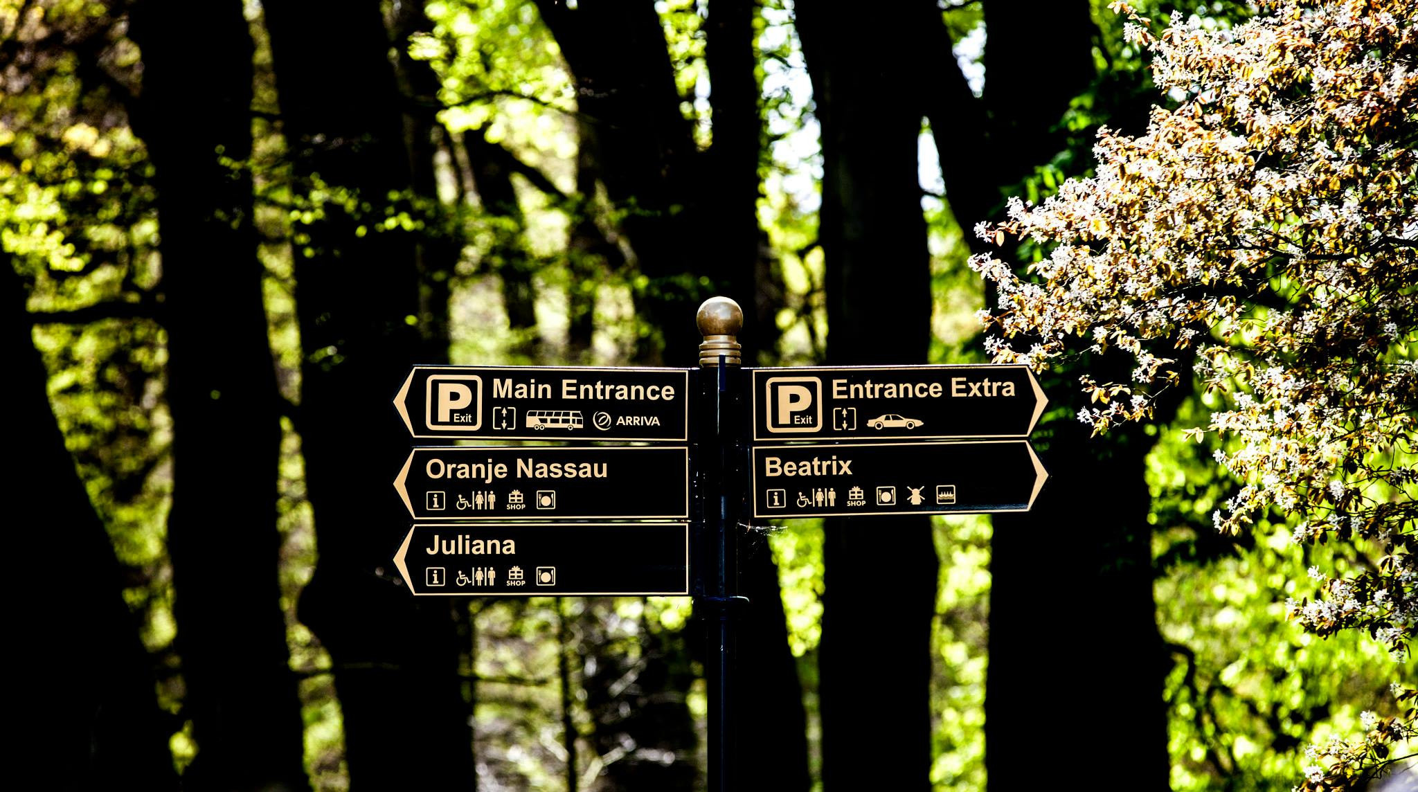 12.Keukenhof — 8 000 000…. Путешествия в формате 360......