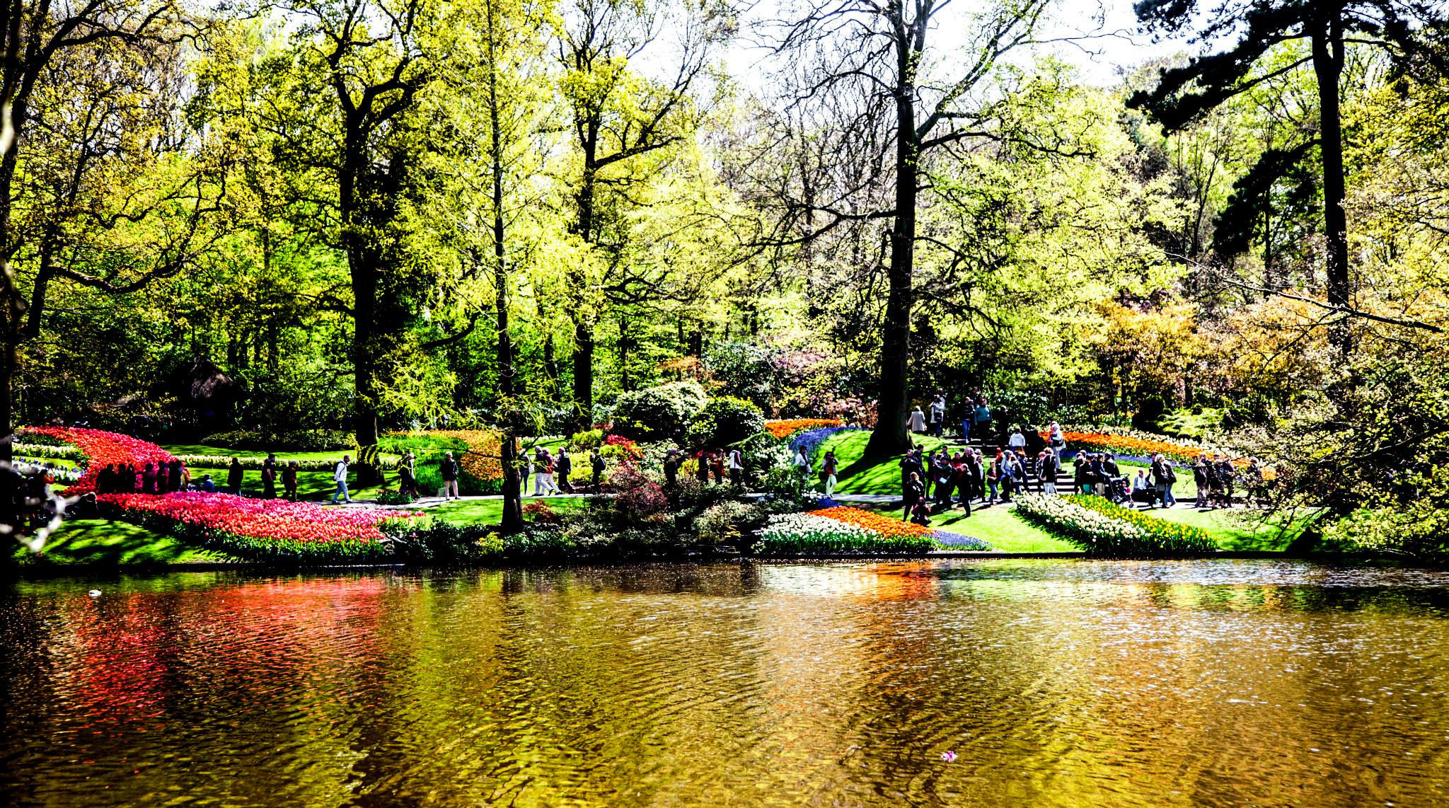 12.Keukenhof — 8 000 000…. Путешествия в формате 360......