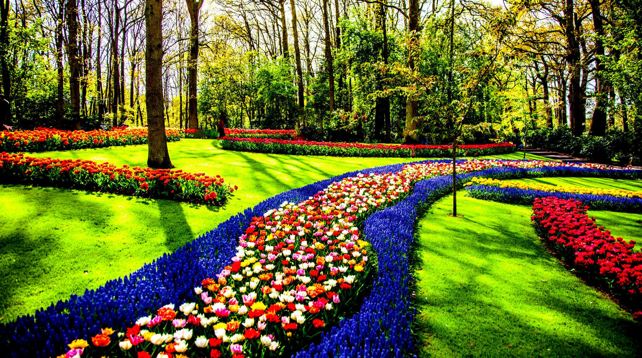 12.Keukenhof — 8 000 000…. Путешествия в формате 360......