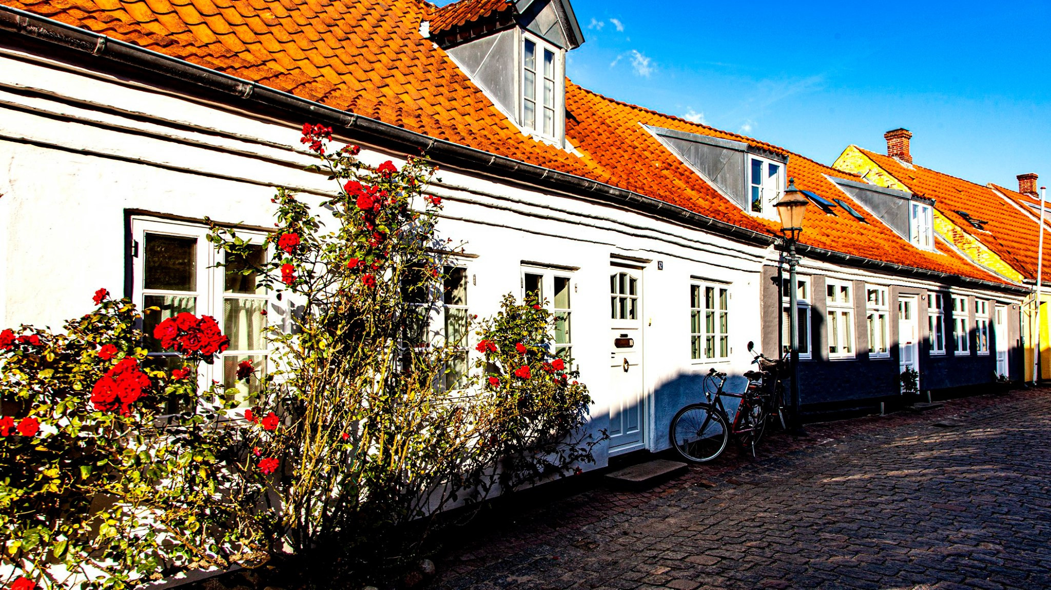 55.Kongeriget Danmark.Ribe.22/7-30/7/2019. Путешествия в формате 360......