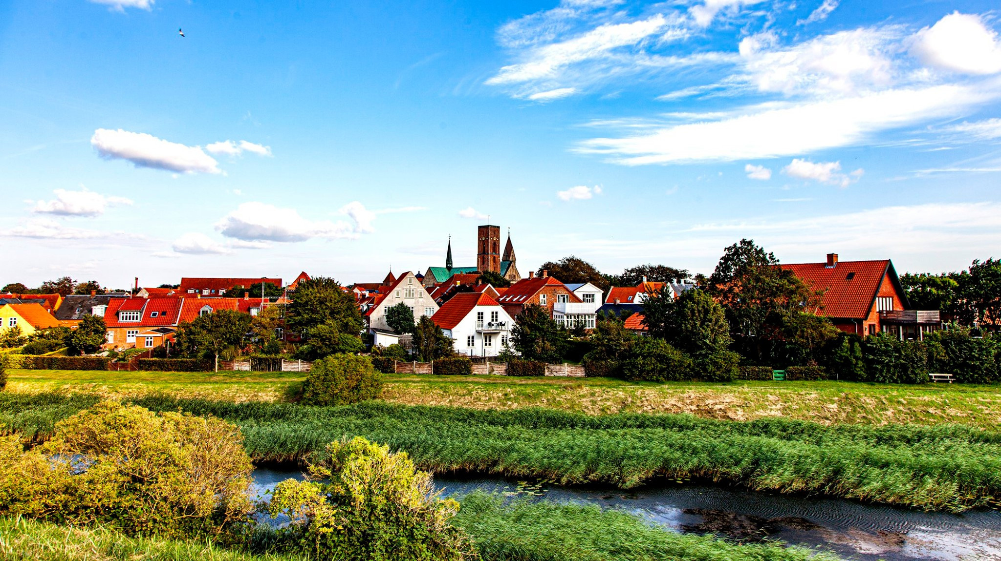 55.Kongeriget Danmark.Ribe.22/7-30/7/2019. Путешествия в формате 360......