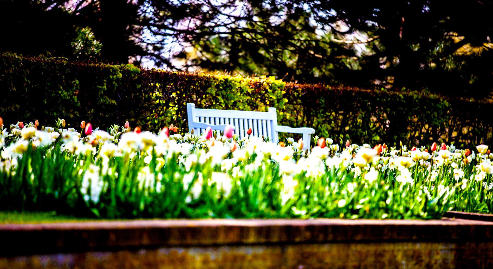12.Keukenhof — 8 000 000…. Путешествия в формате 360......