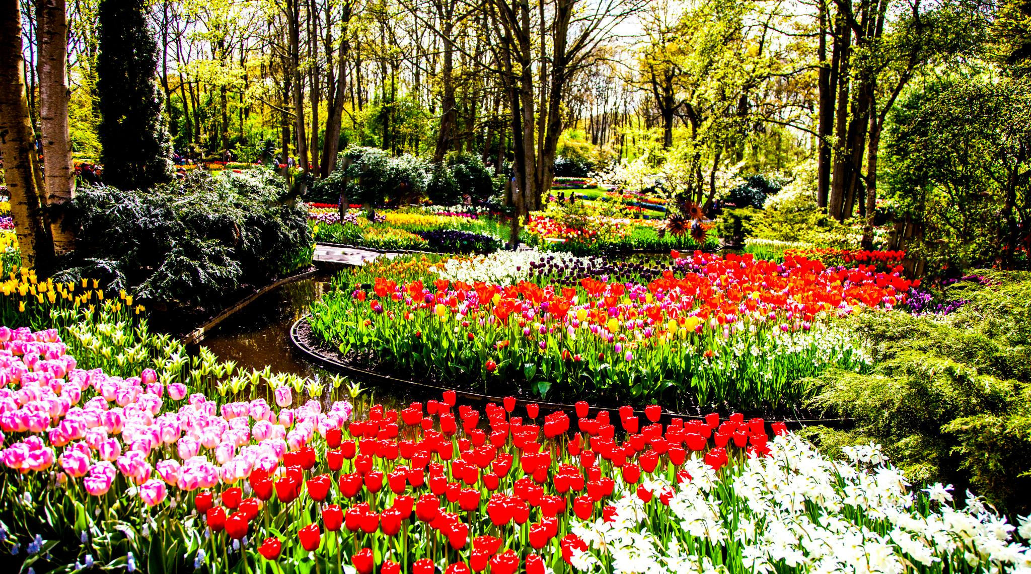 12.Keukenhof — 8 000 000…. Путешествия в формате 360......