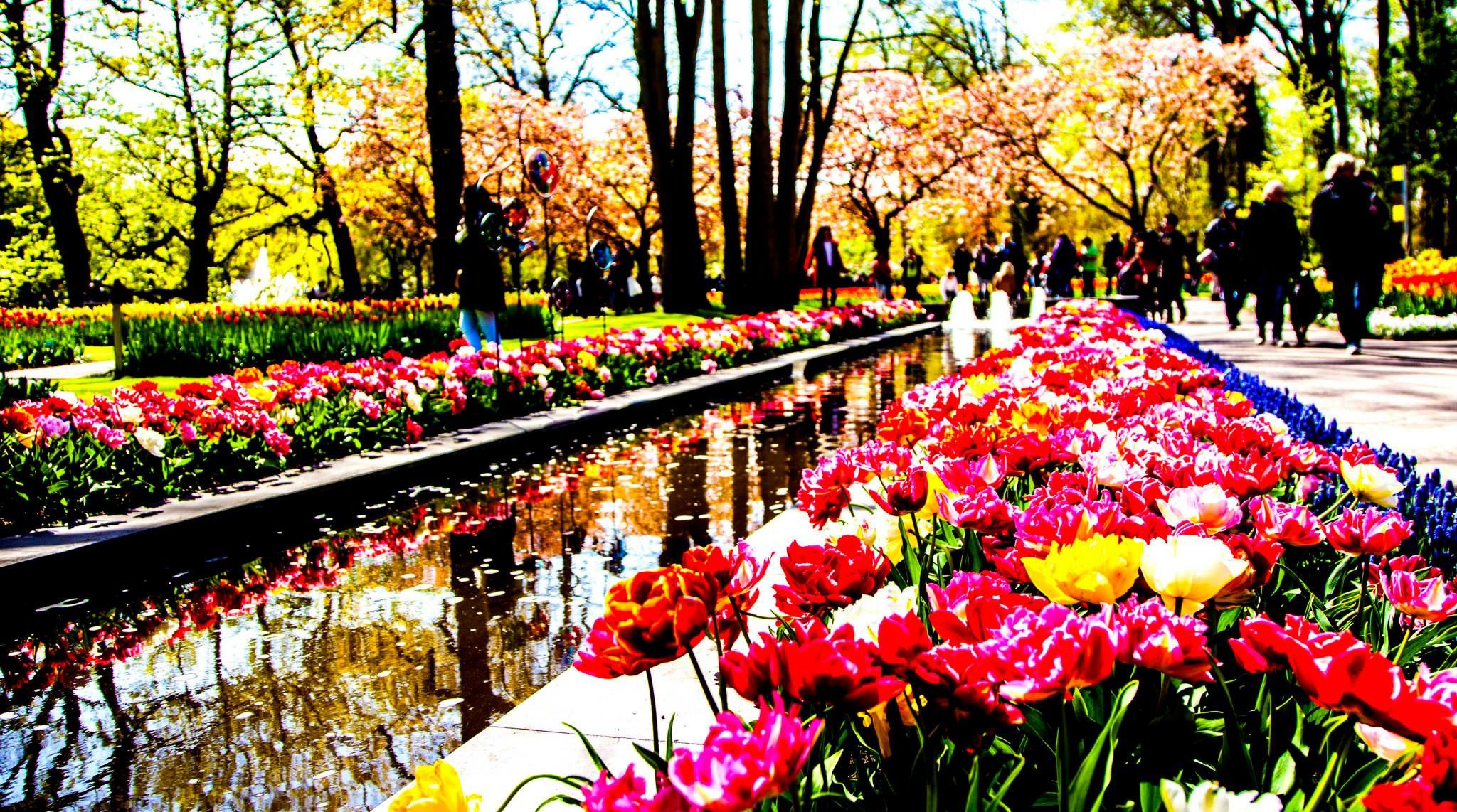12.Keukenhof — 8 000 000…. Путешествия в формате 360......