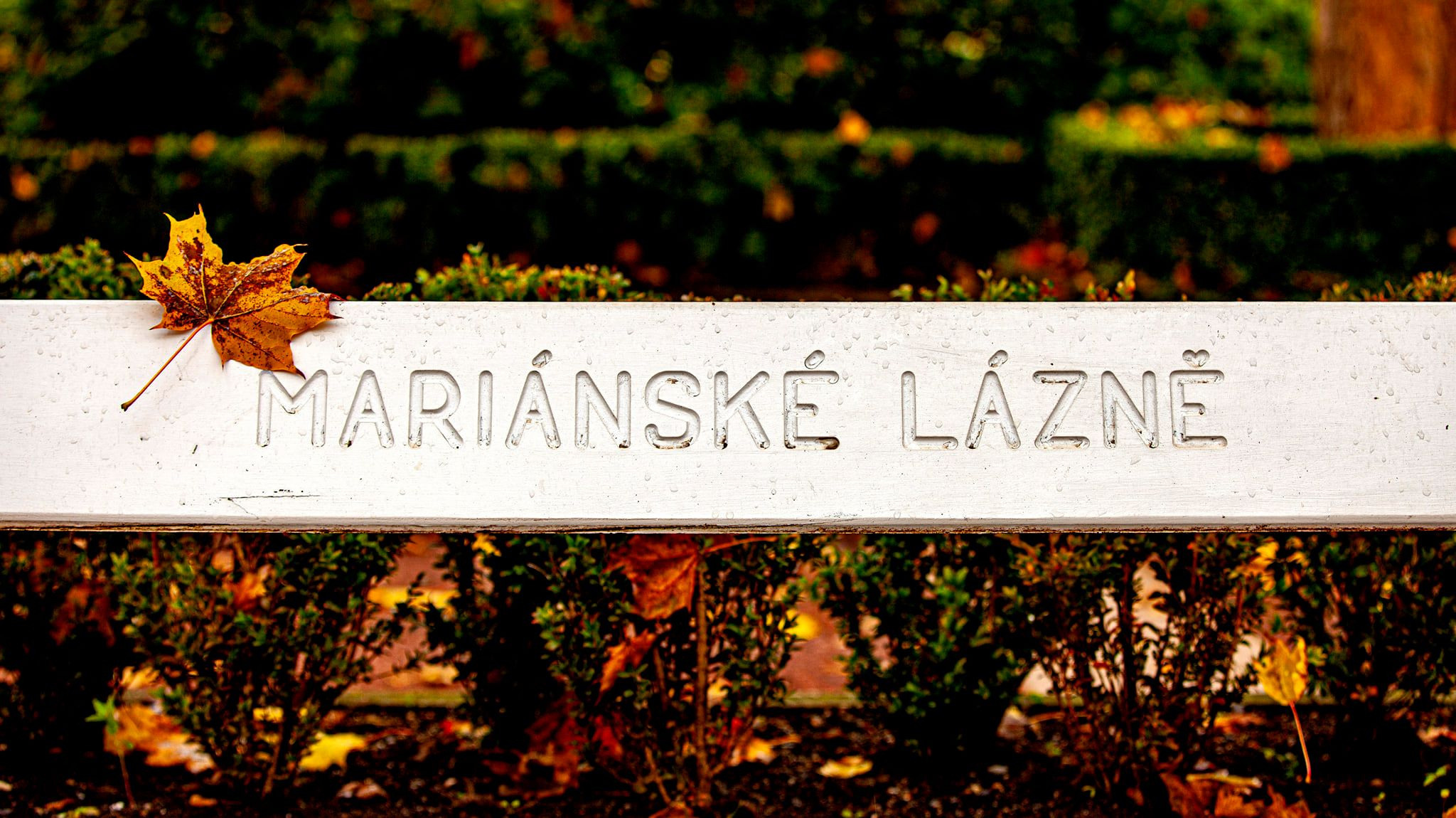 91.Marianske Lezne.12/10-18/10/2020. Путешествия в формате 360......