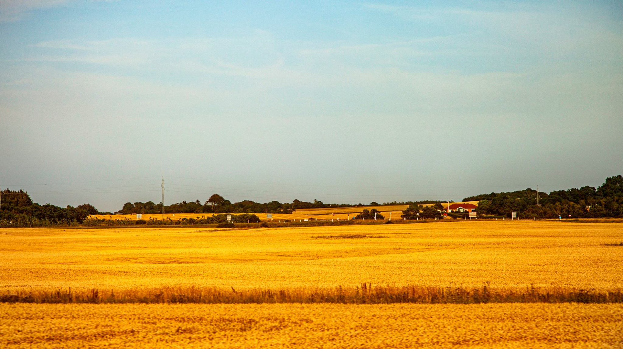 60.Kongeriget Danmark.Limfjord.Ostrov Mors.22/7-30/7/2019. Путешествия в формате 360......