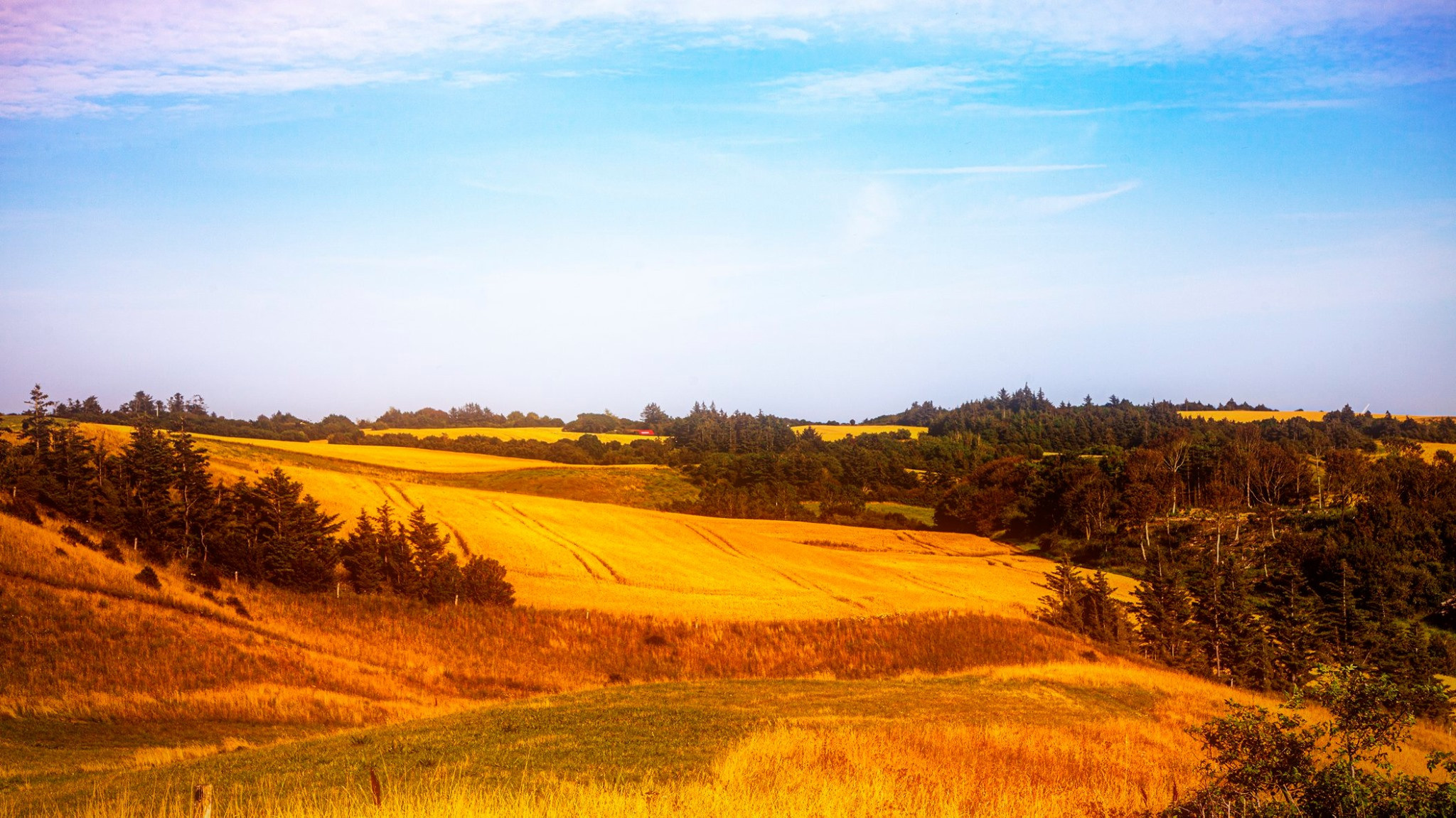 60.Kongeriget Danmark.Limfjord.Ostrov Mors.22/7-30/7/2019. Путешествия в формате 360......