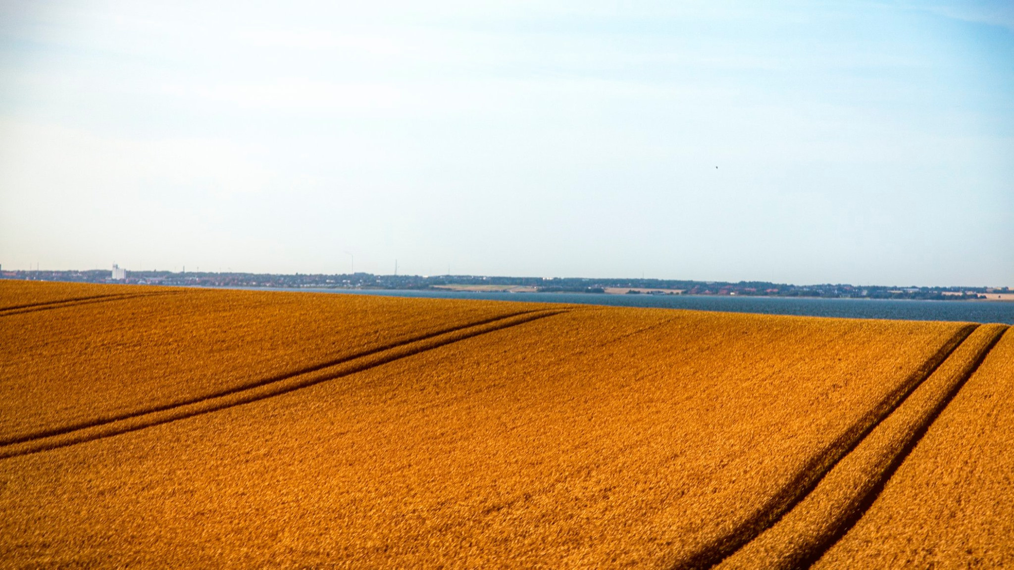 60.Kongeriget Danmark.Limfjord.Ostrov Mors.22/7-30/7/2019. Путешествия в формате 360......
