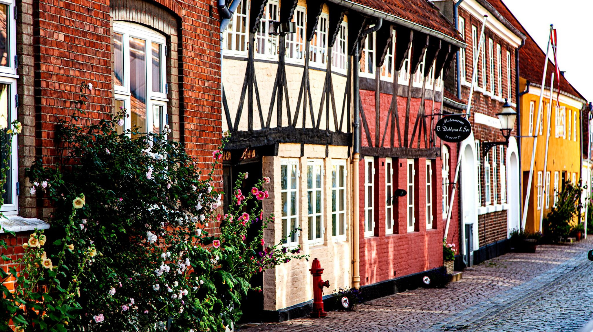 55.Kongeriget Danmark.Ribe.22/7-30/7/2019. Путешествия в формате 360......