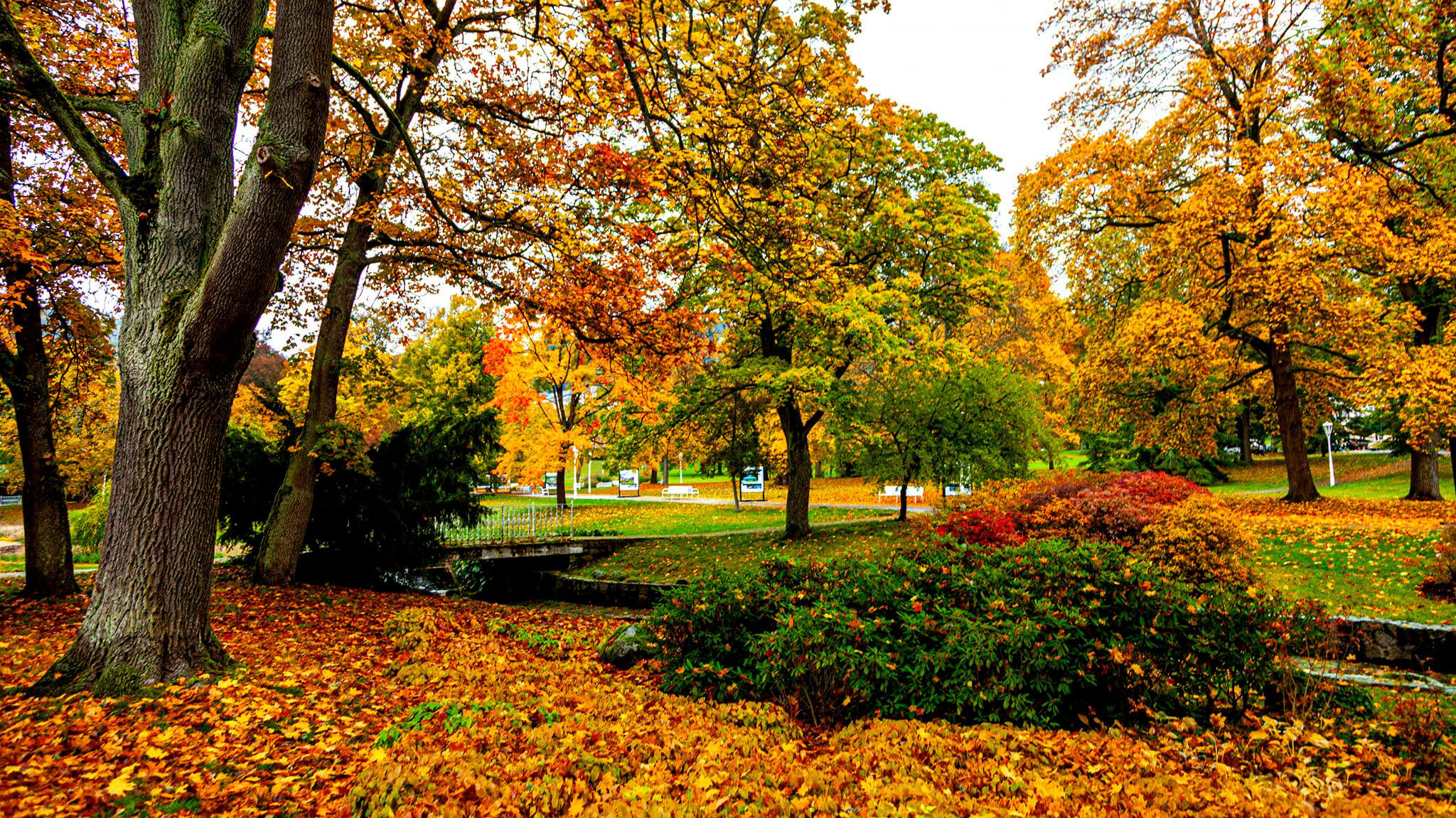 91.Marianske Lezne.12/10-18/10/2020. Путешествия в формате 360......