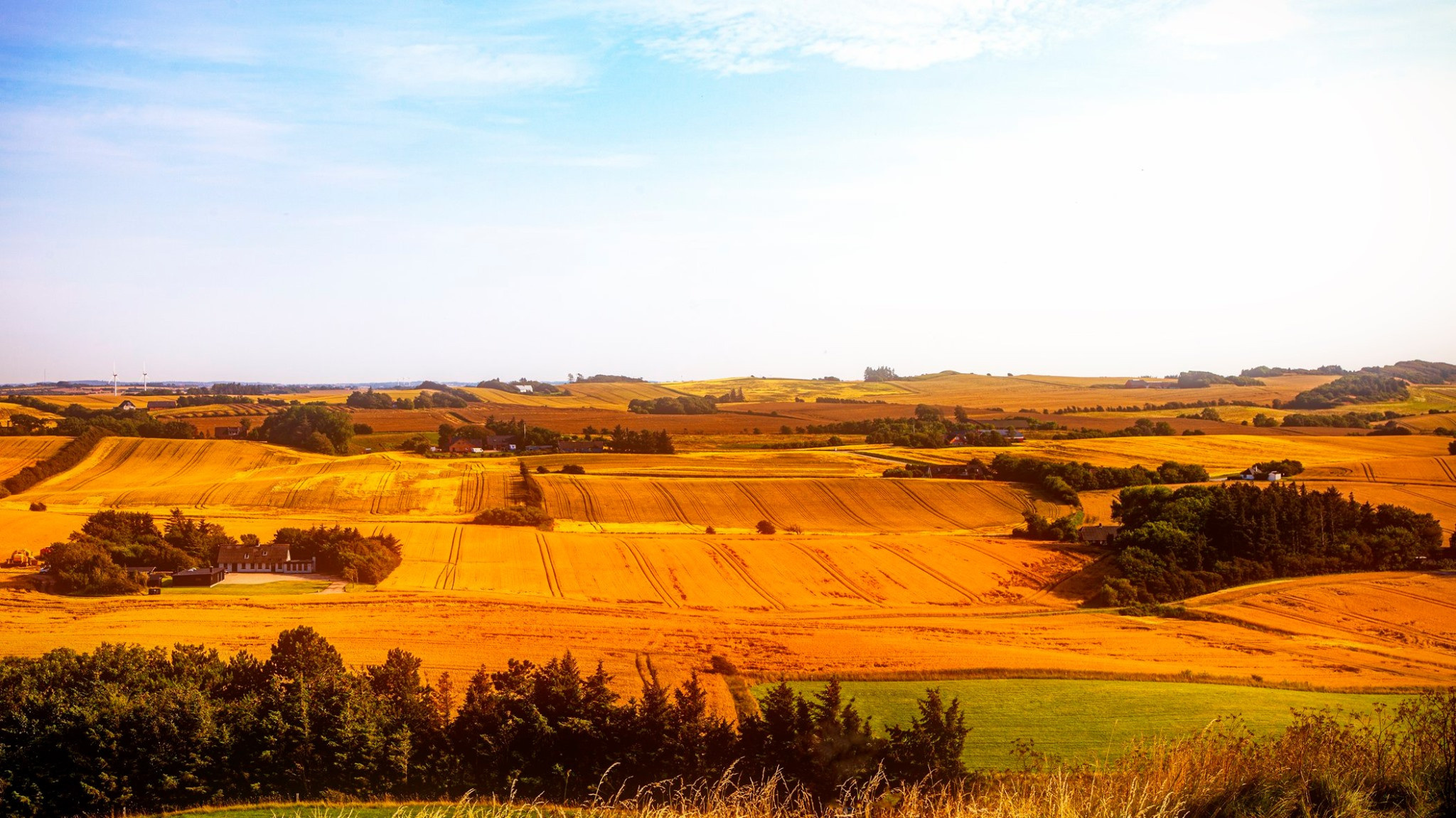 60.Kongeriget Danmark.Limfjord.Ostrov Mors.22/7-30/7/2019. Путешествия в формате 360......