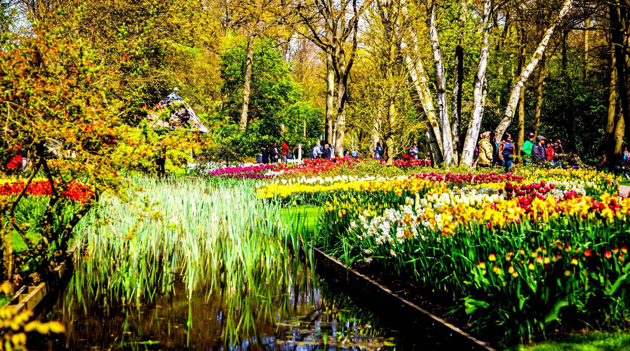 12.Keukenhof — 8 000 000…. Путешествия в формате 360......
