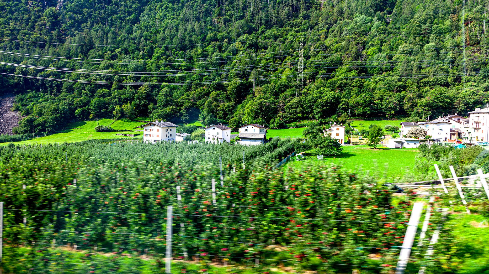 88.Tirano-Sv Moritz.22/8/2020. Путешествия в формате 360......