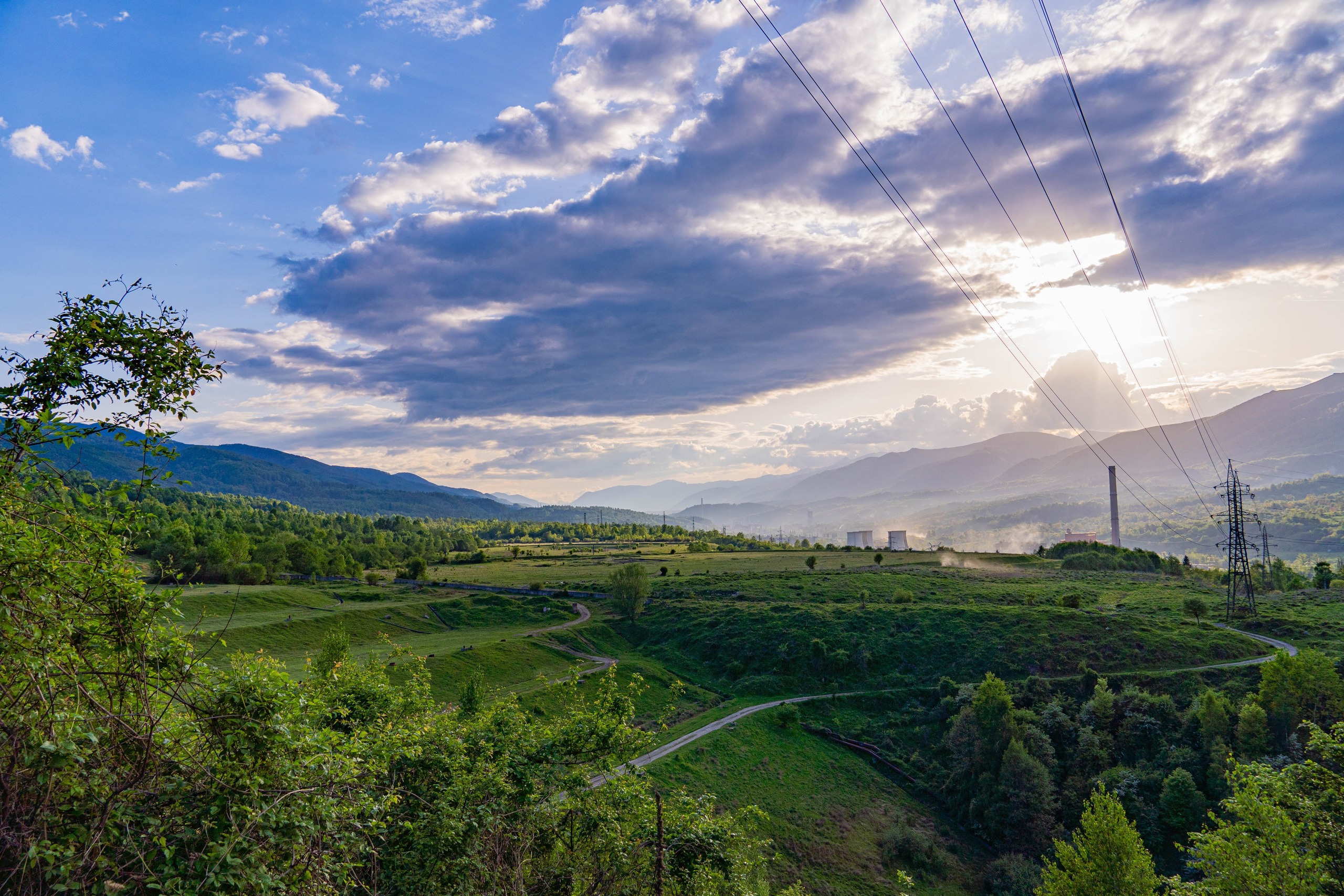 Nature. Alecsandru Braicu — Sports Photographer