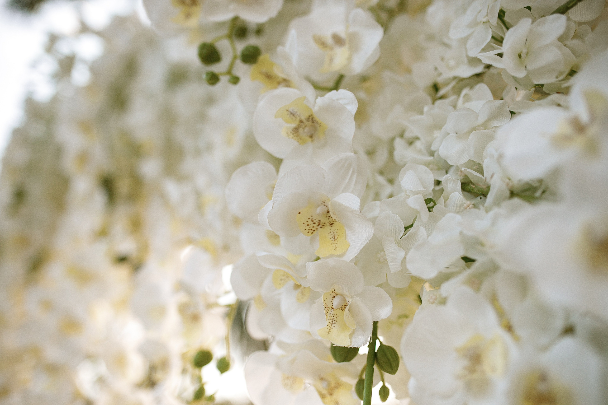 Декор. Свадьба в Таиланде Honey Moon Agency