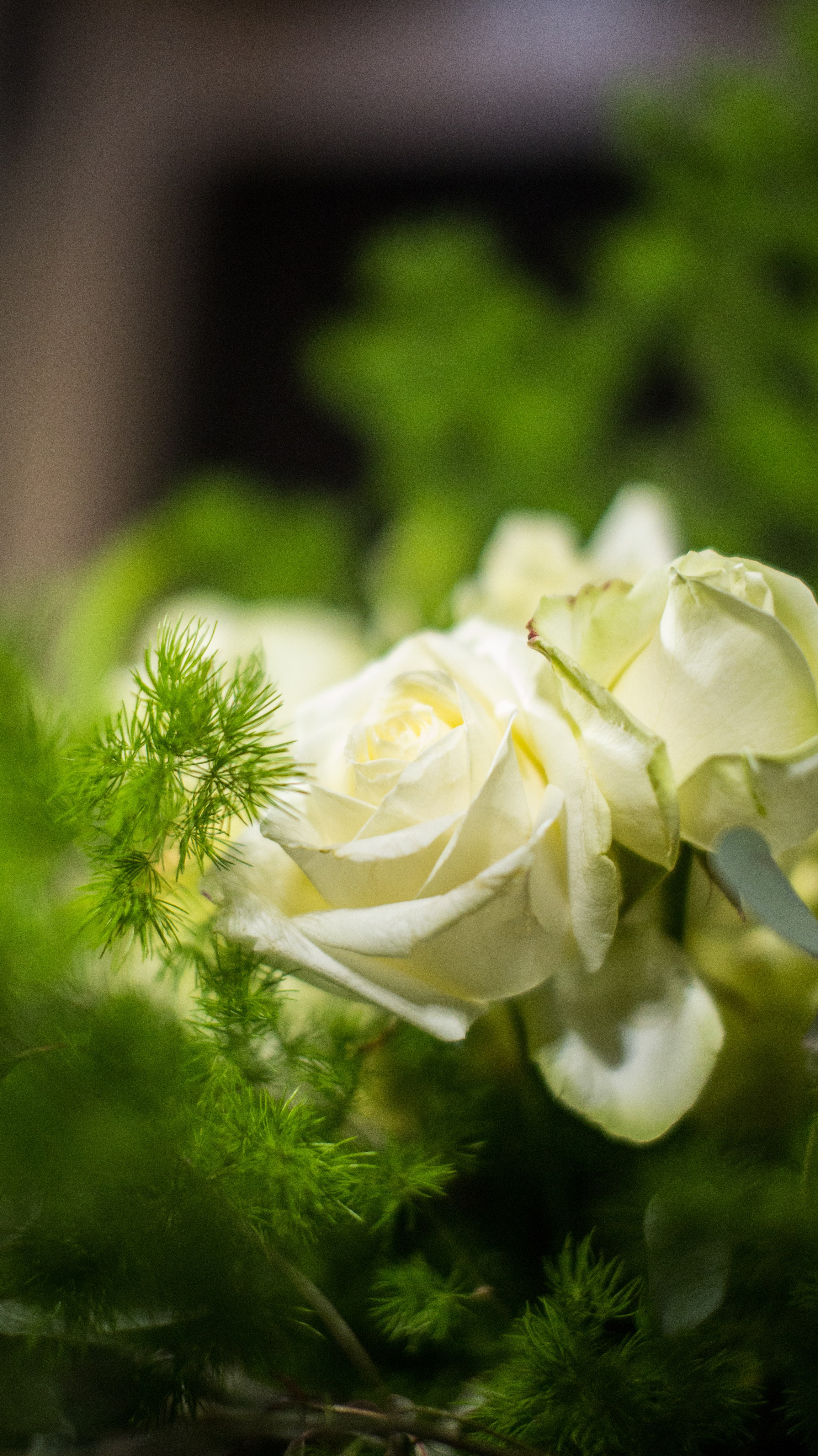 Flowers decor. Сімейний, дитячий та репортажний фотограф з Києва