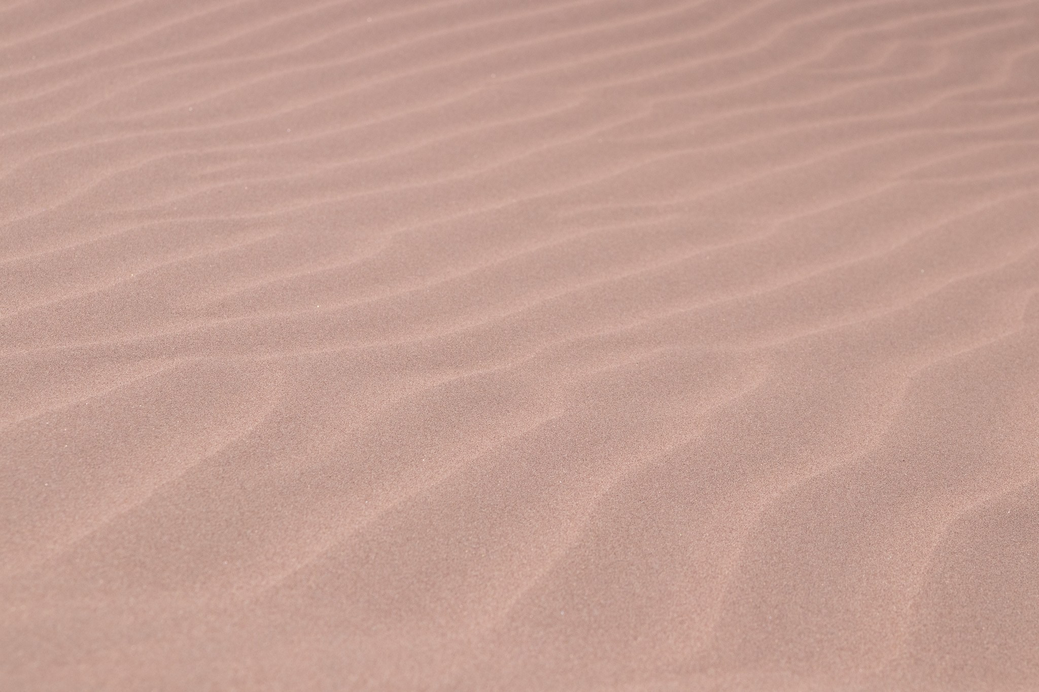 Anastasia y Tasya. Fotógrafo en Mendoza Alexander Safonov