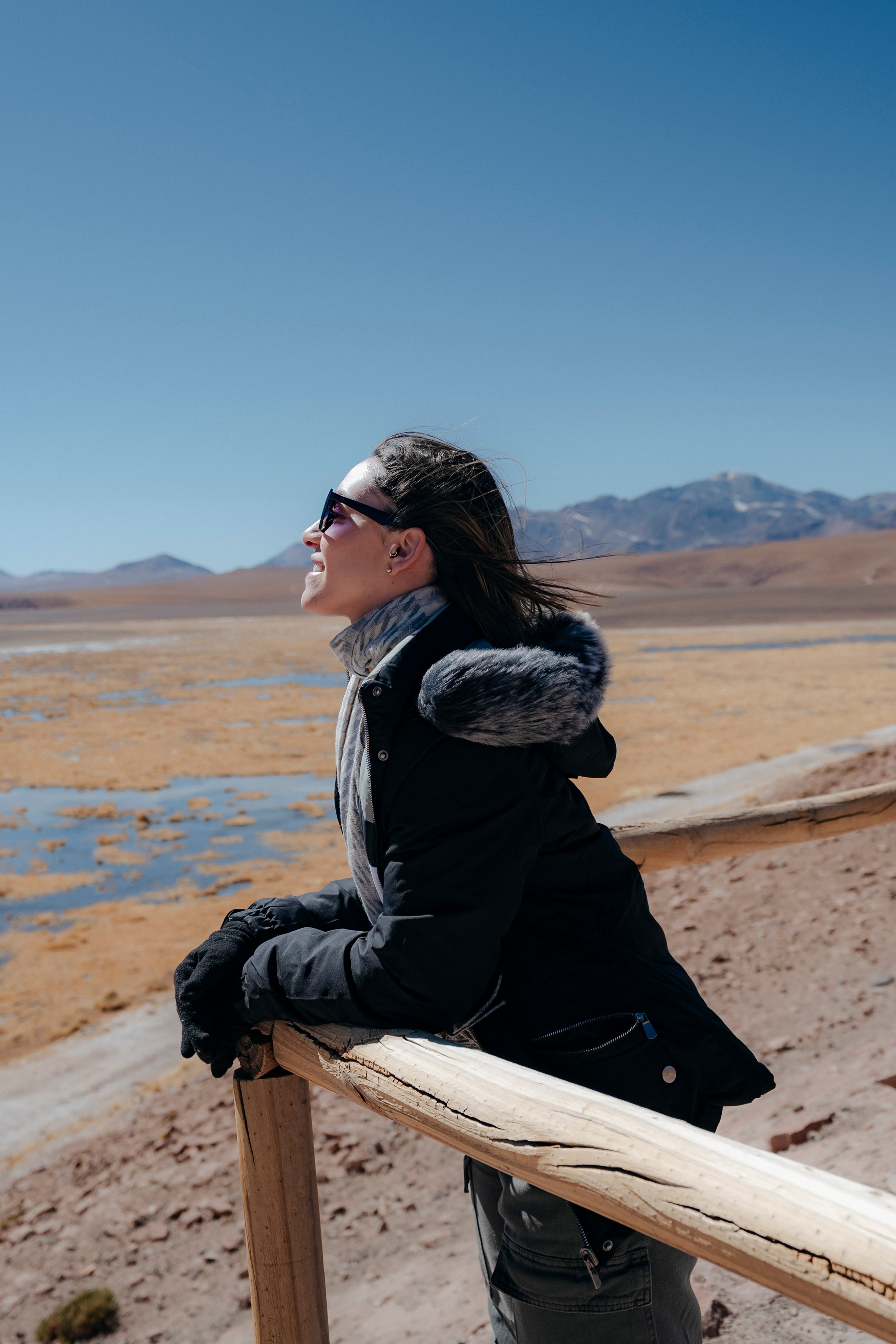 Geyser El Tatio (cobertura en tour privado). Principal