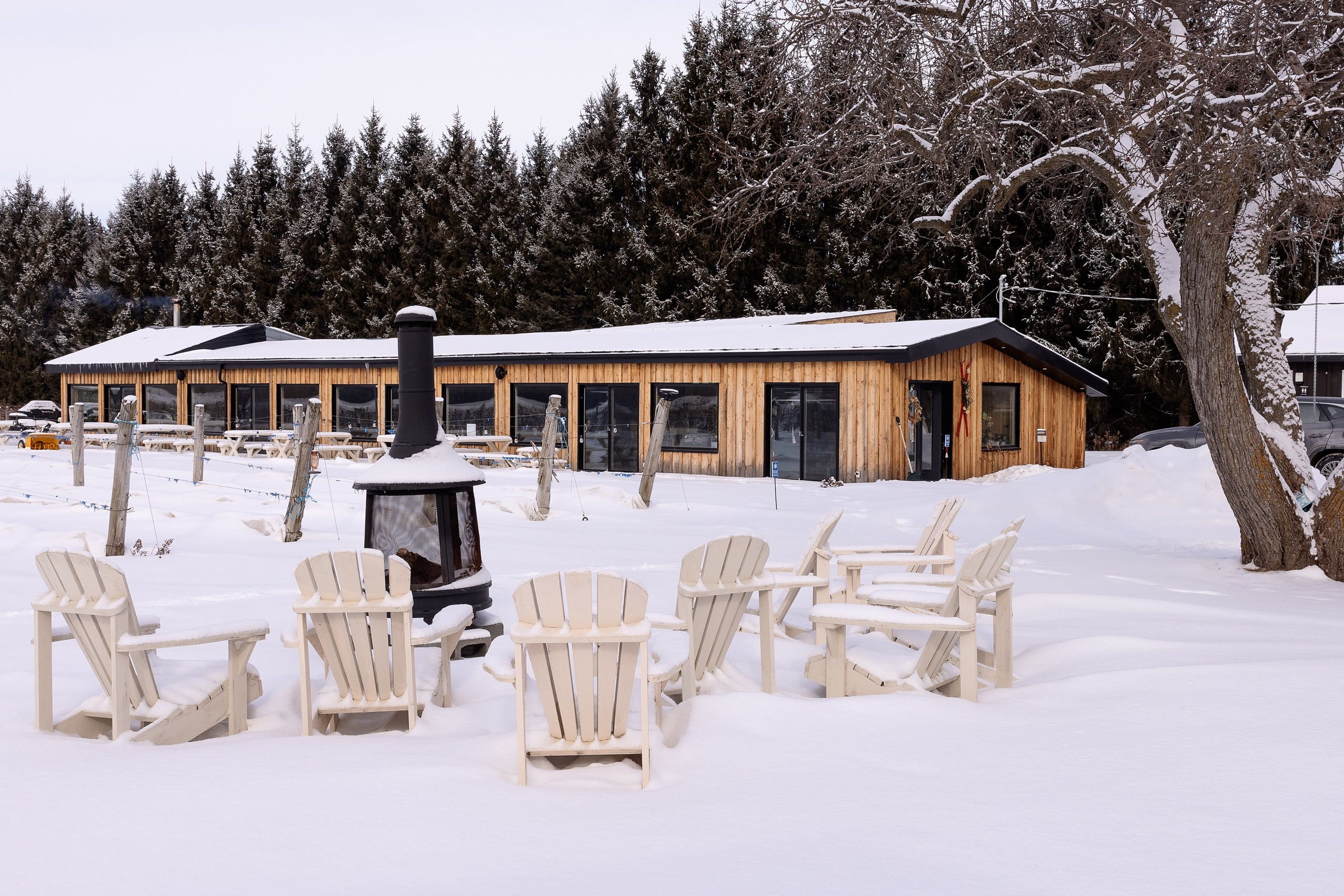 Vignoble et Domaine Beauchemin / Edition January 2025