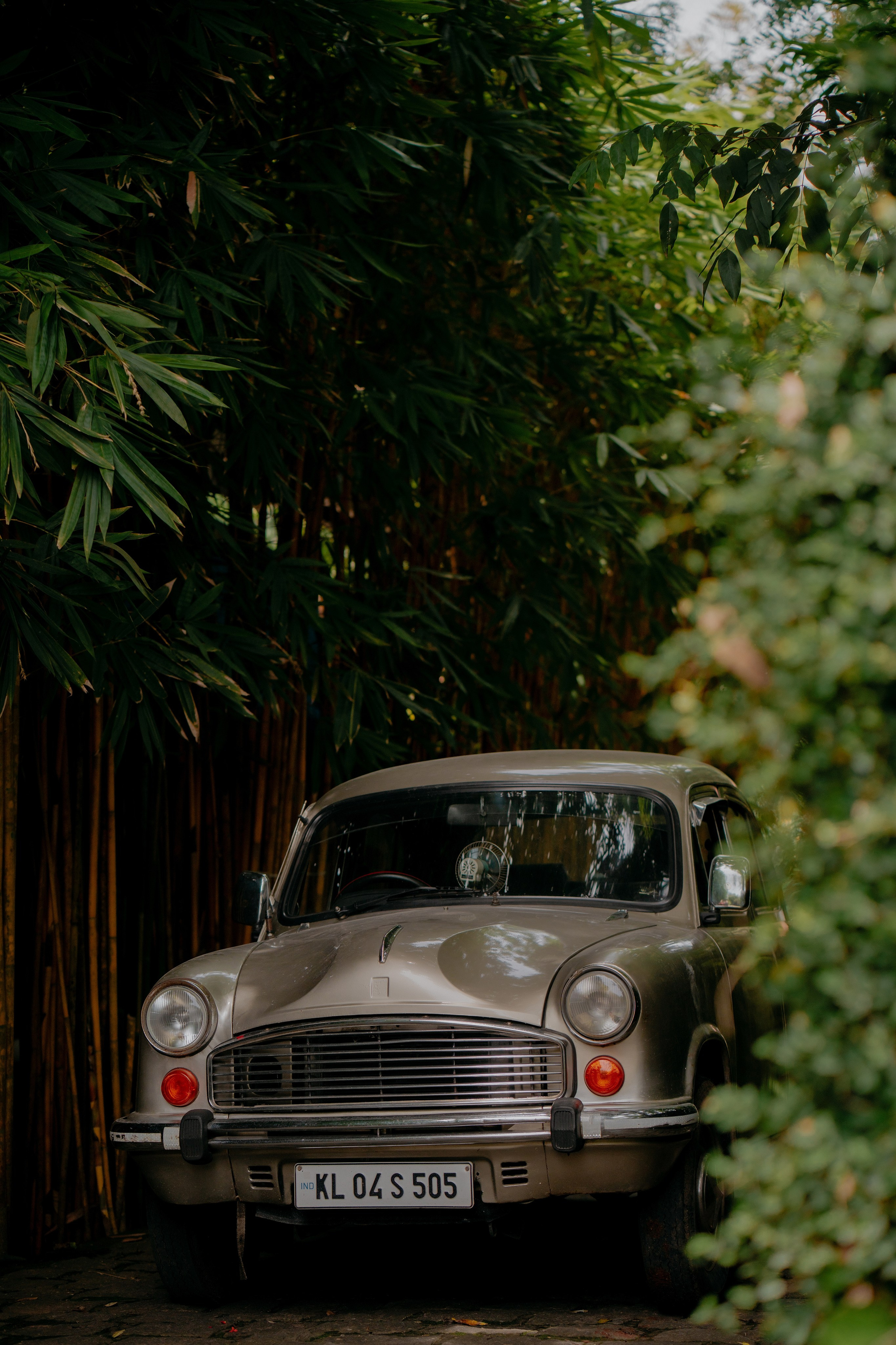 A Lovers Lyrical! ft. Athira & Abhilash. Fine art Wedding Photographers in India & Canada