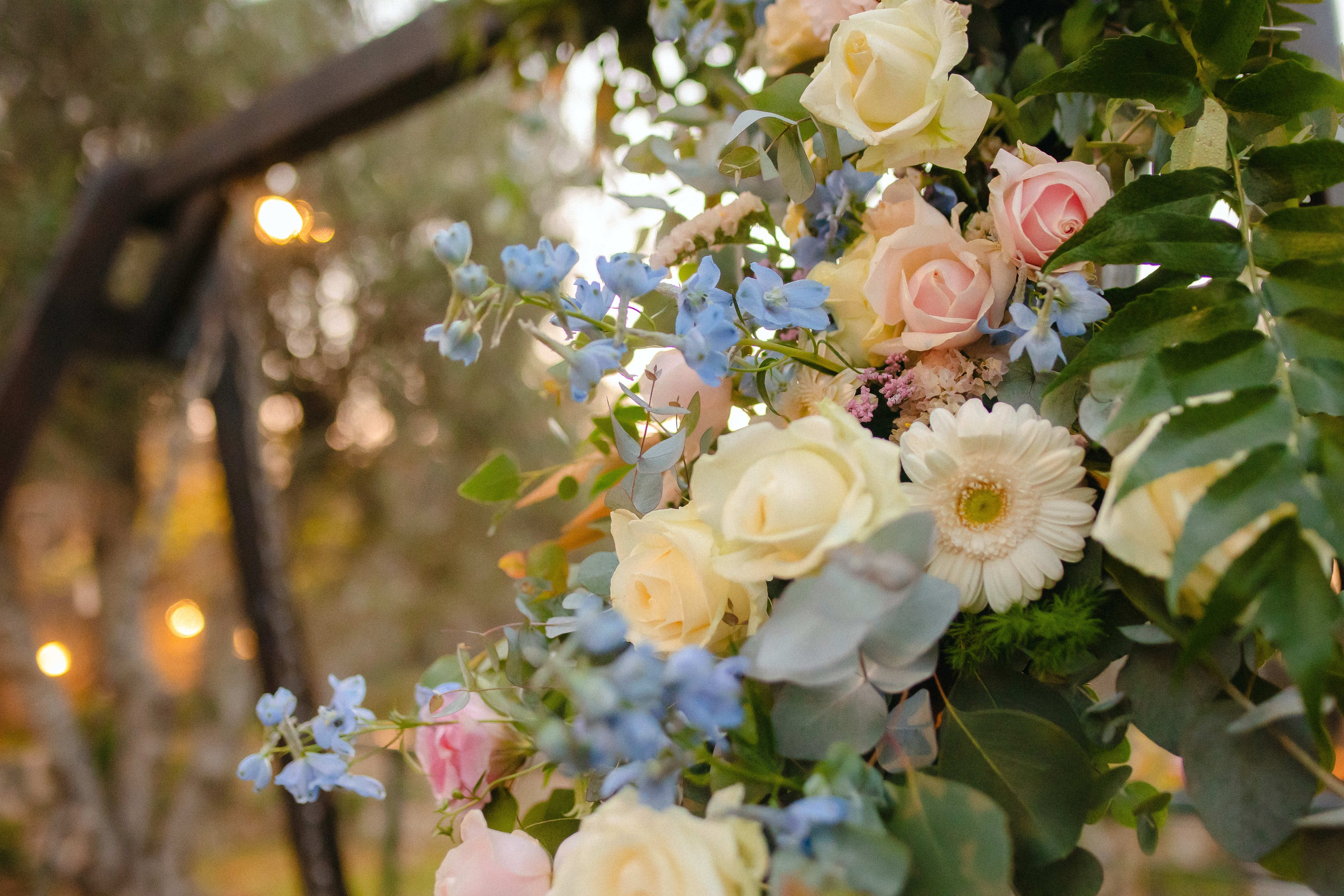 A Day to Remember. Https://shi-photo.com/