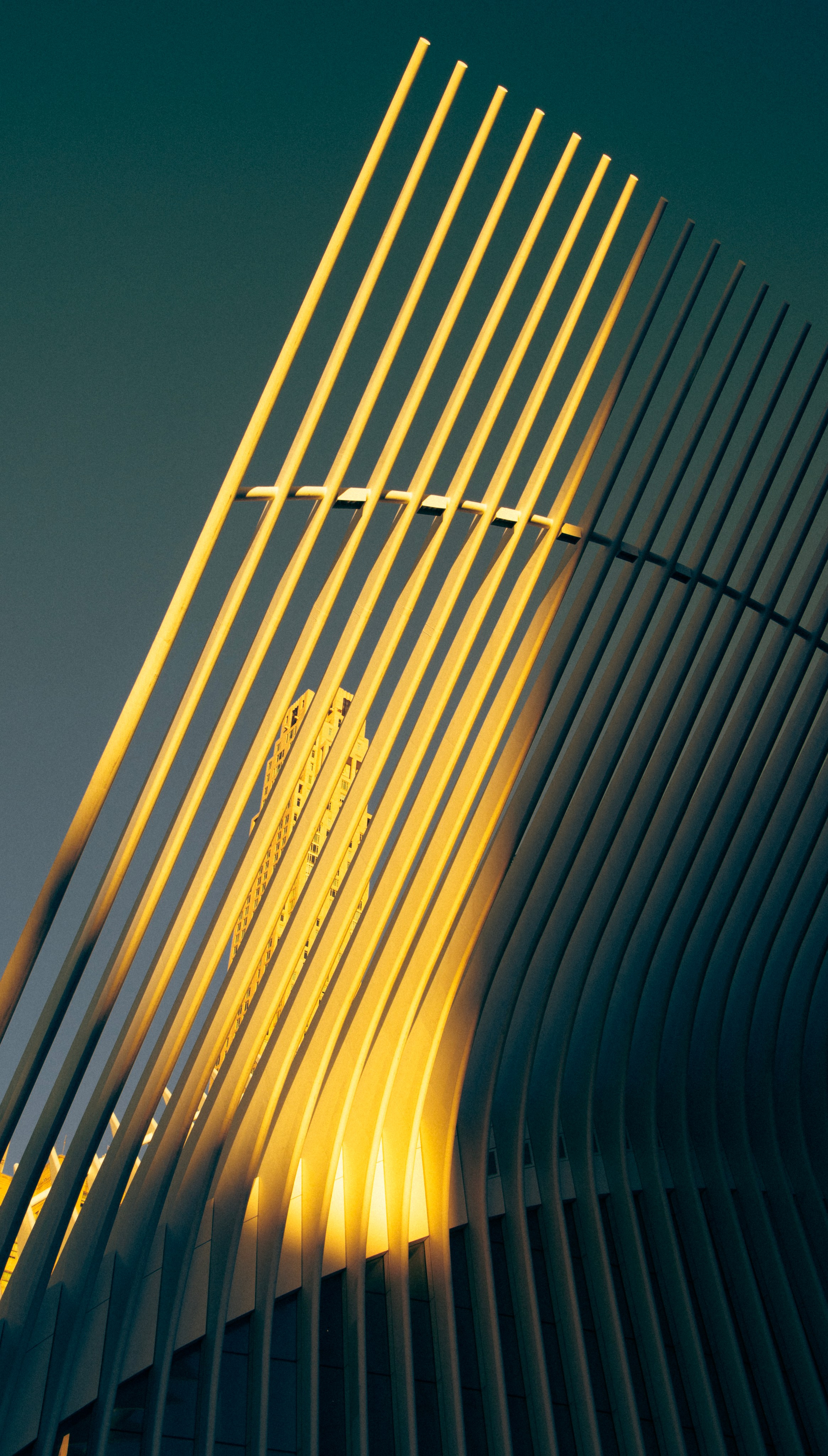 USA photoshoot pricing portrait Photographer Wedding Proposal Photoshoots Headshoots Engagement Elopement Family New York Linkedin facebook  print