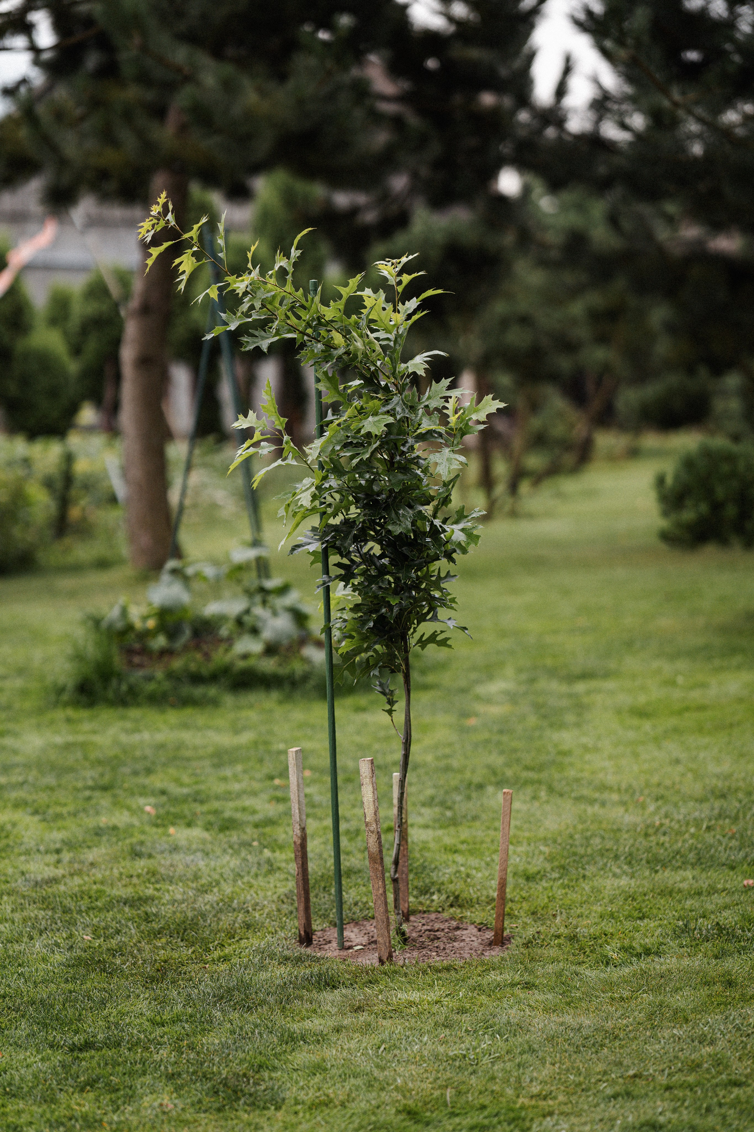 Eriko krikštas. Lina Labanauskienė Photography