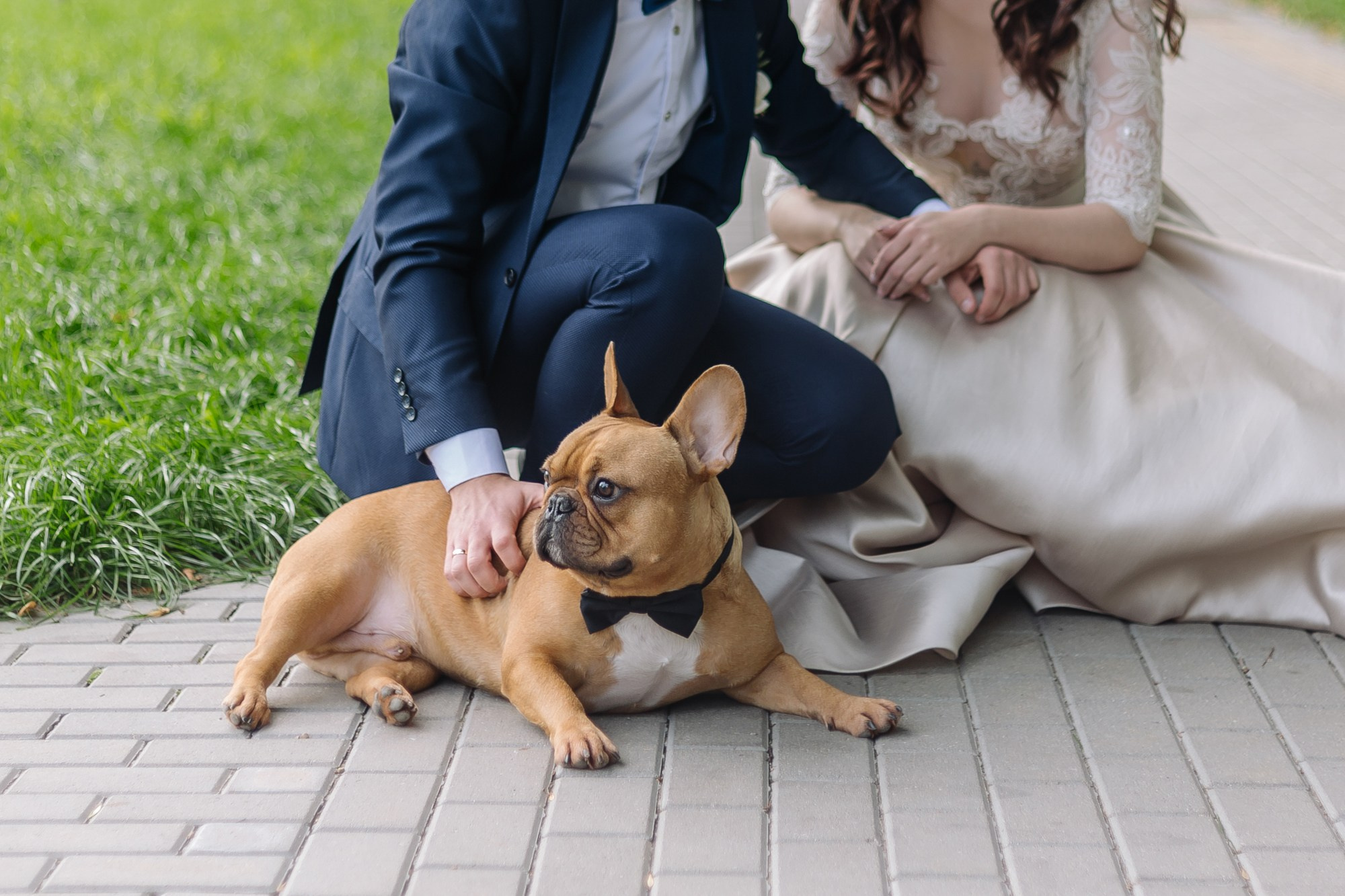 Weddings. An Vi Photography