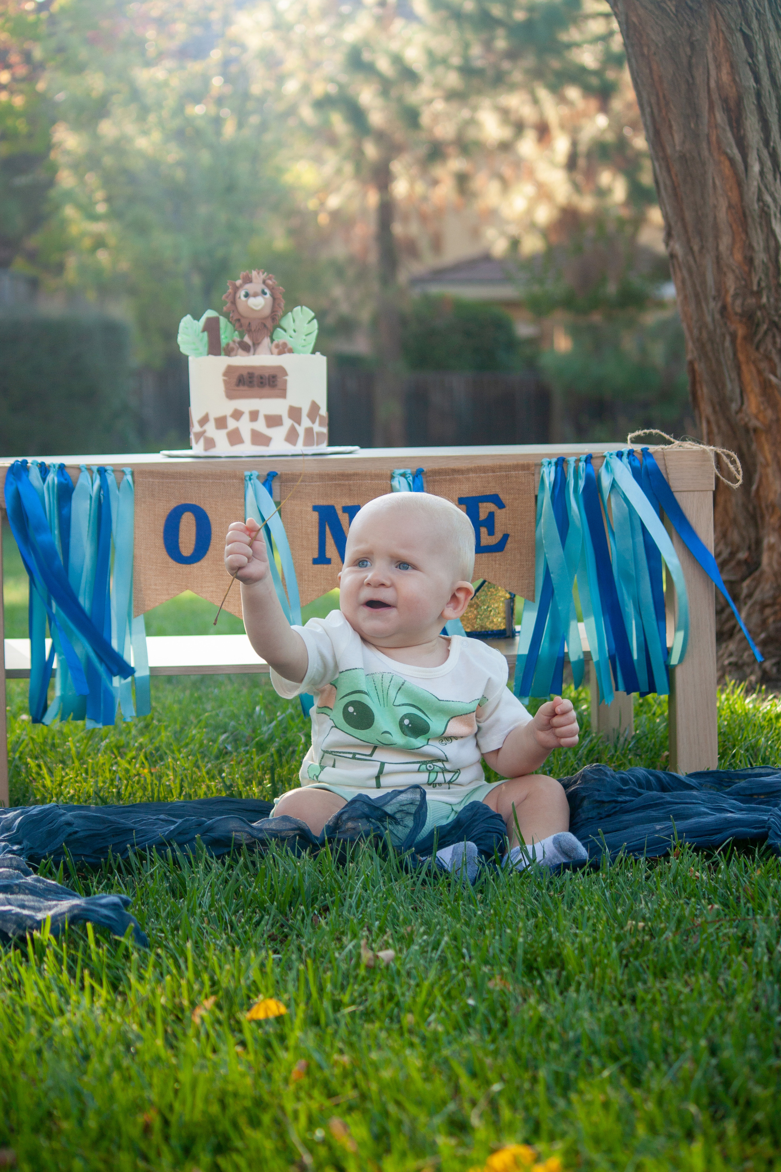 Baby first birthday photoshoot