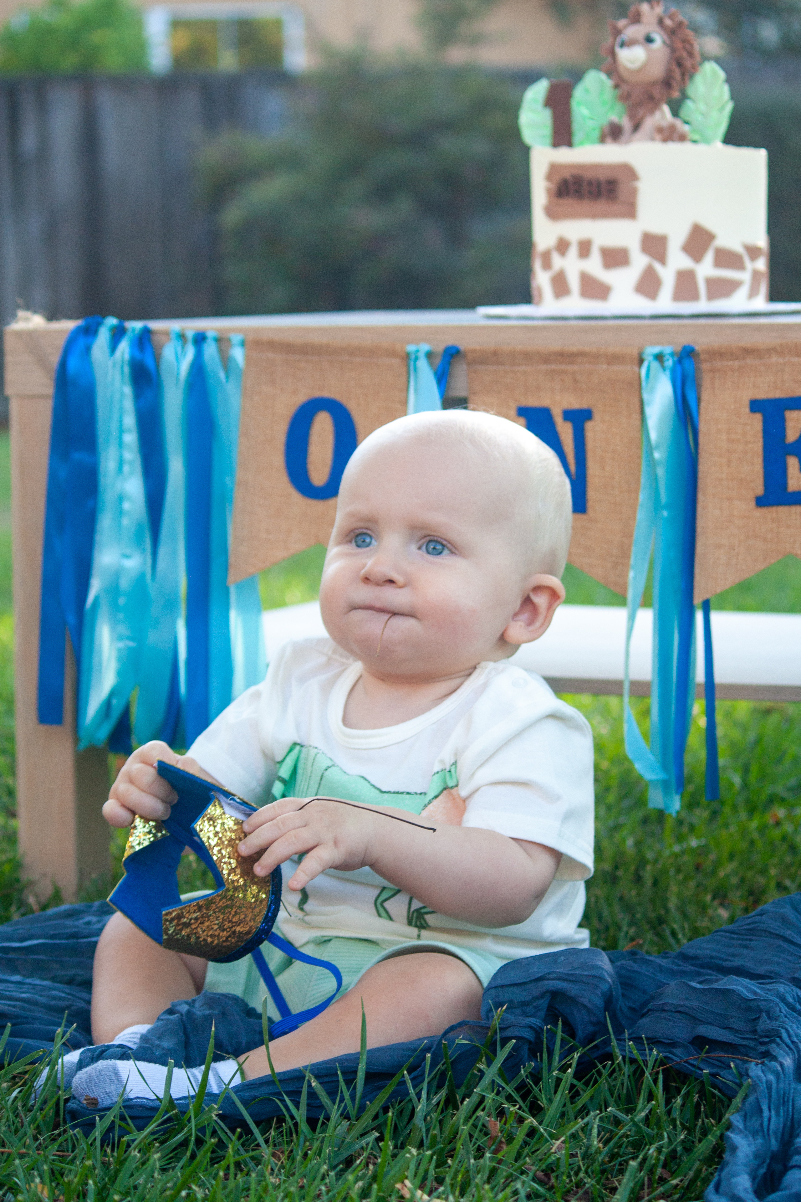 Photographer for first baby birthday party