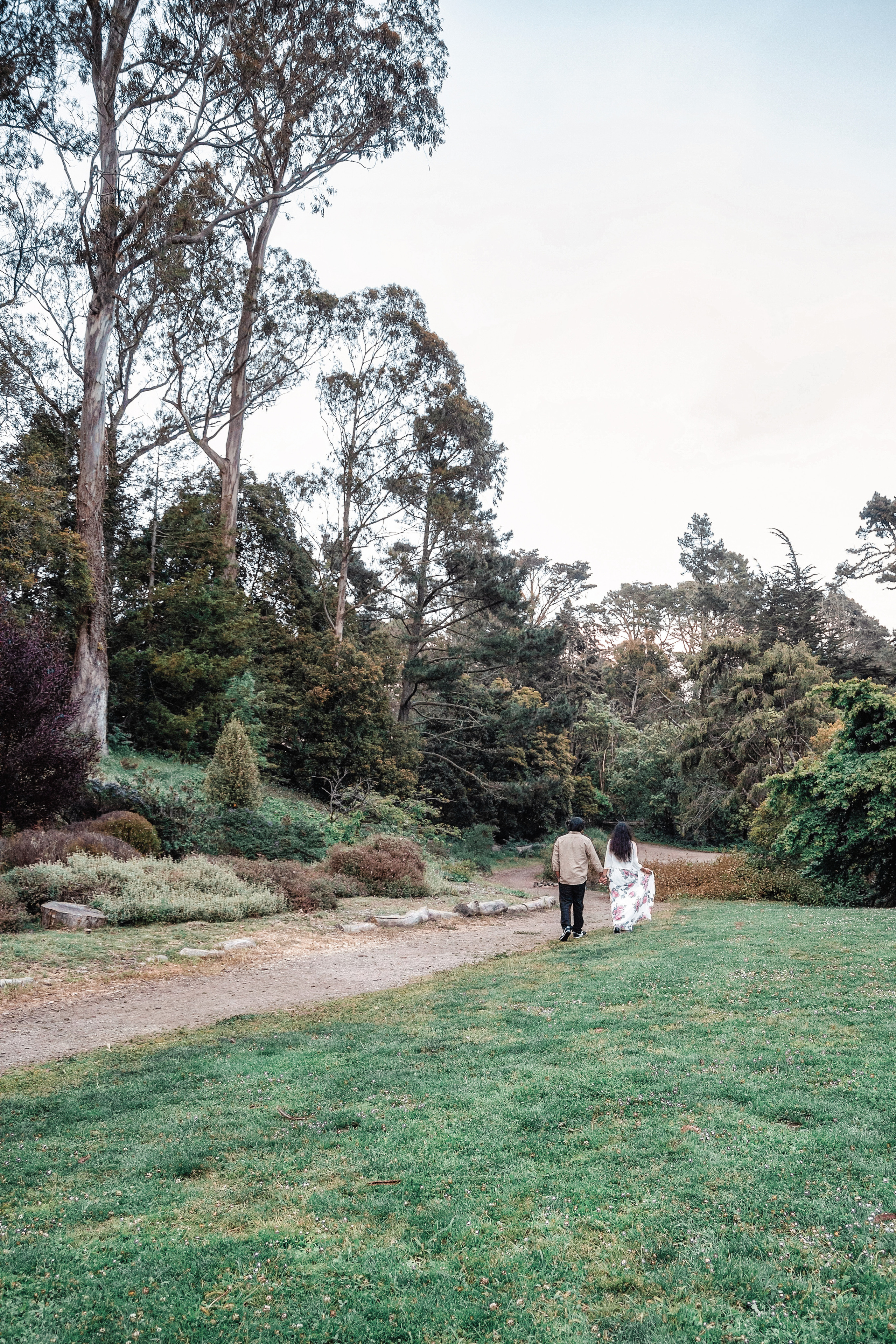 Proposal photo shoot. Bay Area Photographer: family, maternity, love story, wedding