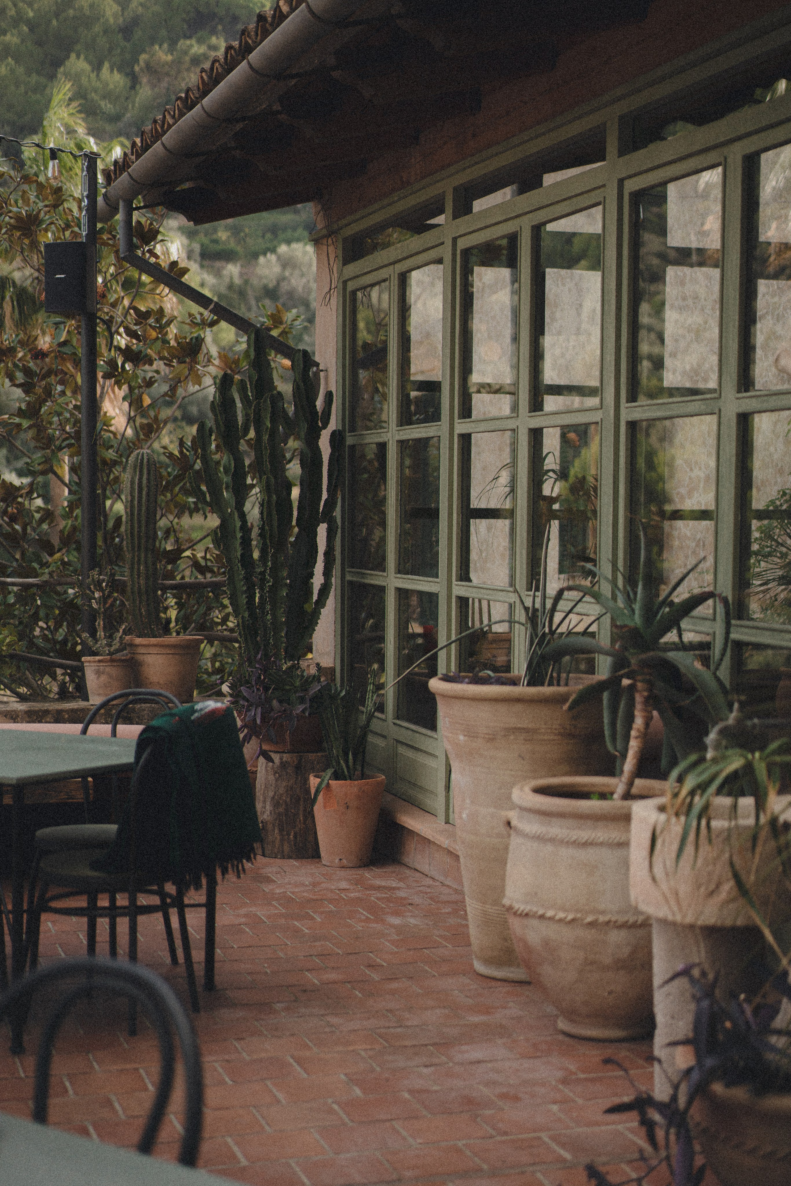 Nature. Portrait, lookbook and family photographer in Riga, LATVIA