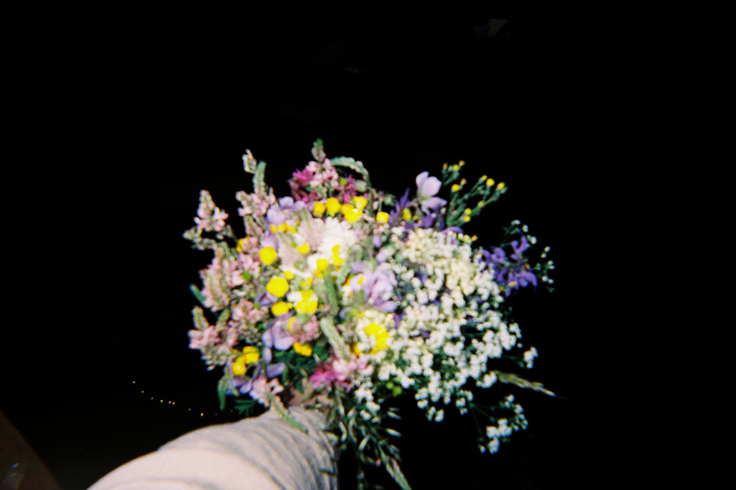 Mîndrii’s holiday