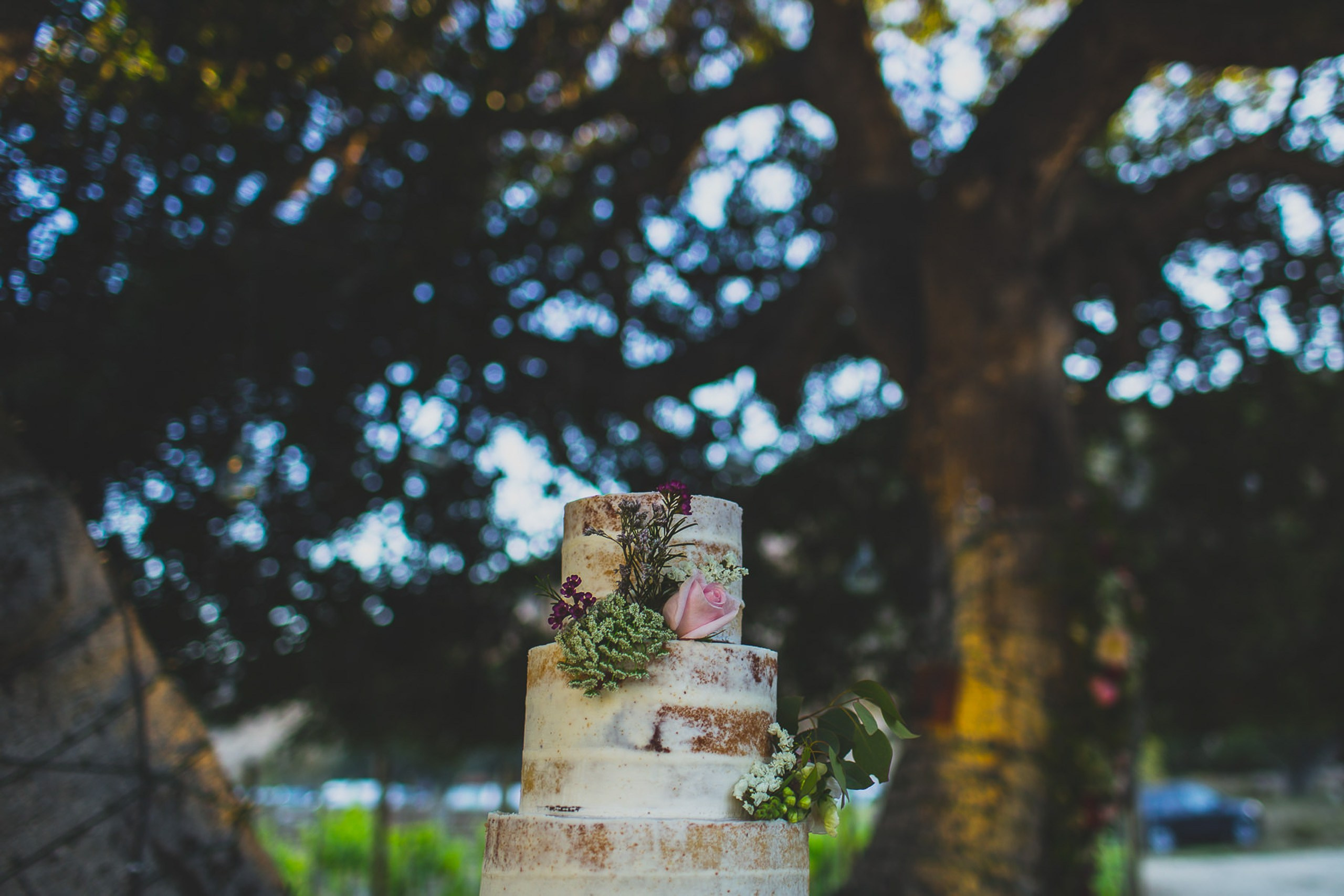 Valle de Guadalupe Boda Ilieana y Antonio. Estudio de fotografia en Tijuana