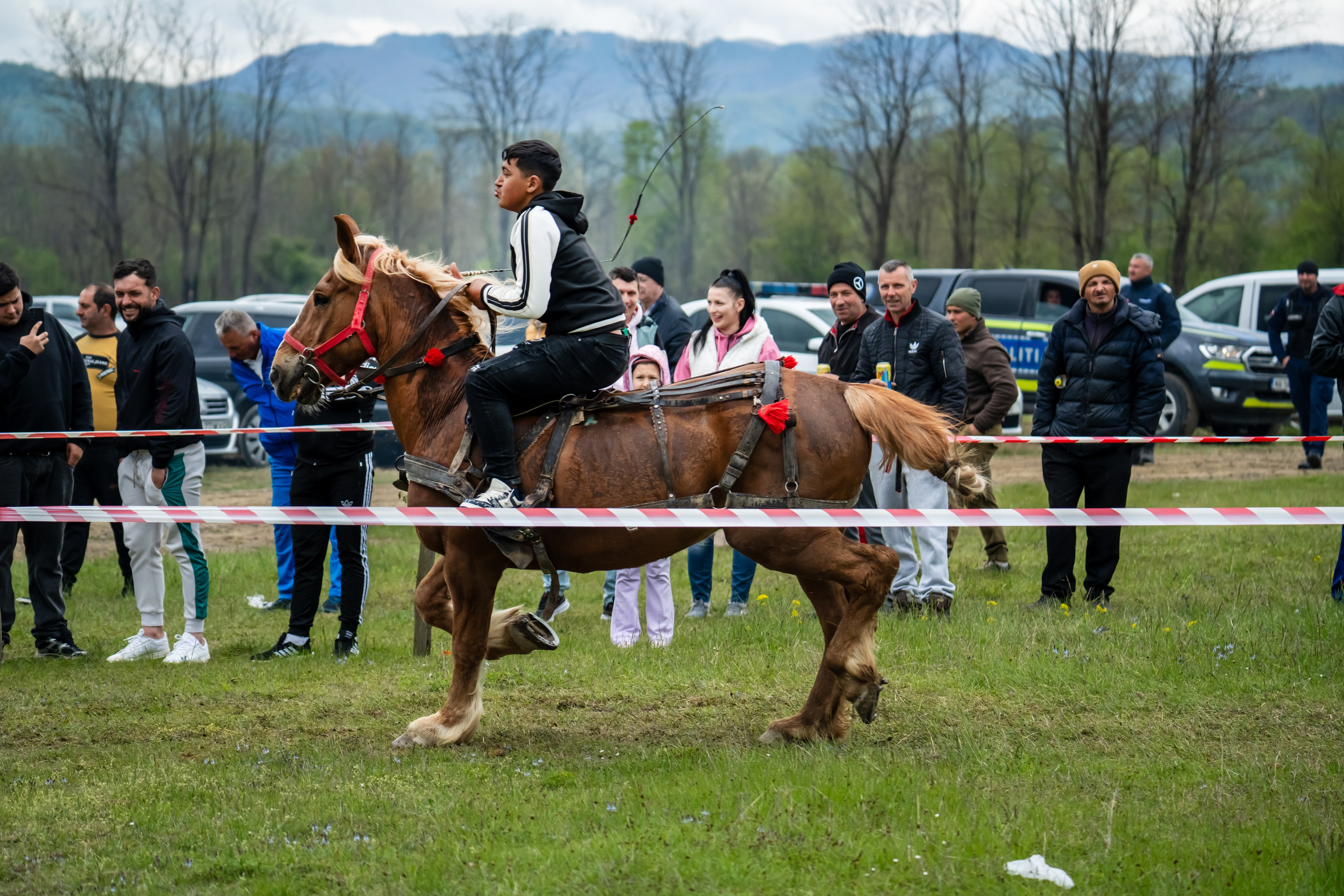 Concurs Ecvestru Vărbilău ediția a 4-a. Mihai Alexandra Events