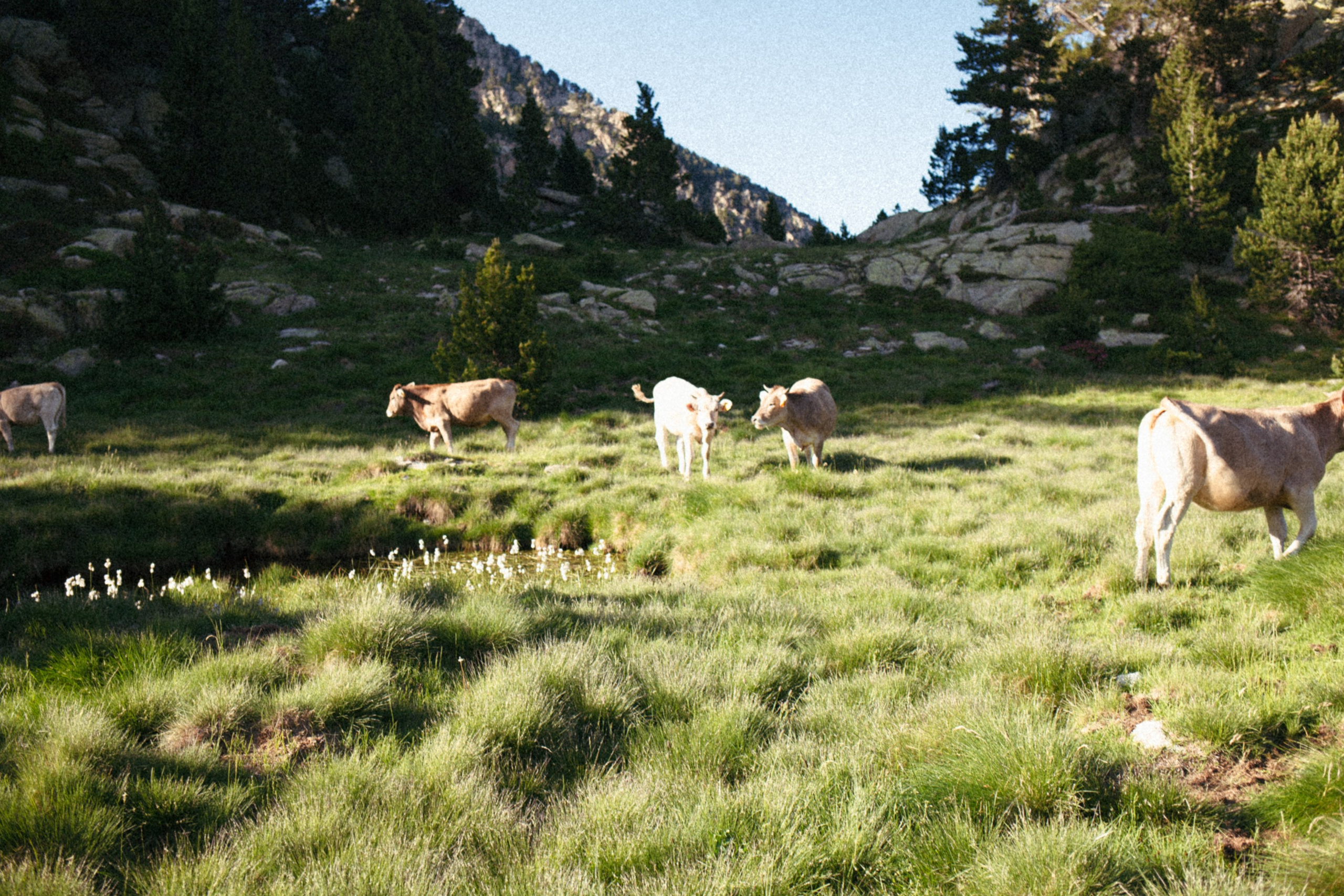 Fotografía del Refugio JM Blanc – Valle de Peguera, Pirineos. Marina Kálcheva – Photographer & Visual Artist in Barcelona