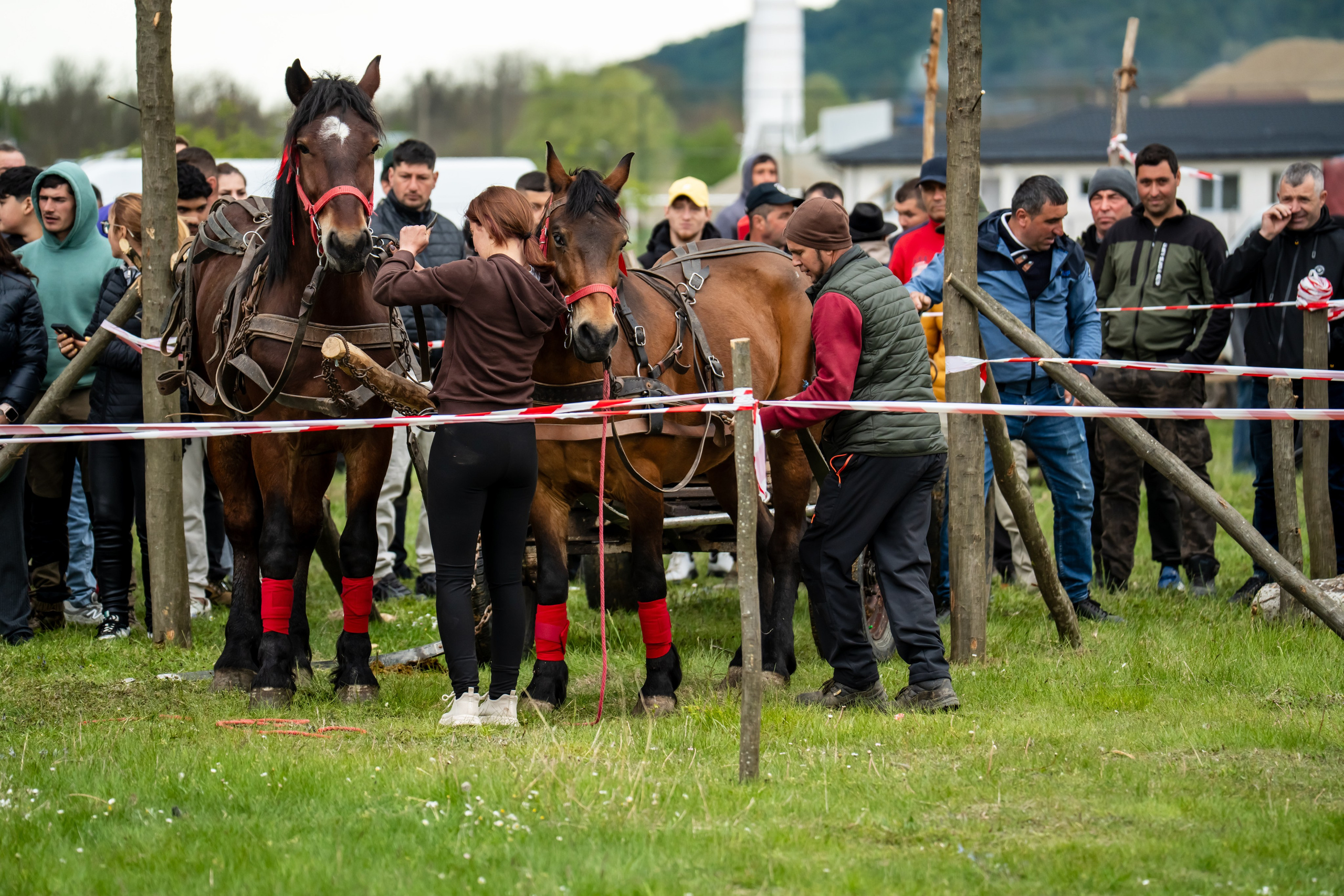 Concurs Ecvestru Vărbilău ediția a 4-a. Mihai Alexandra Events