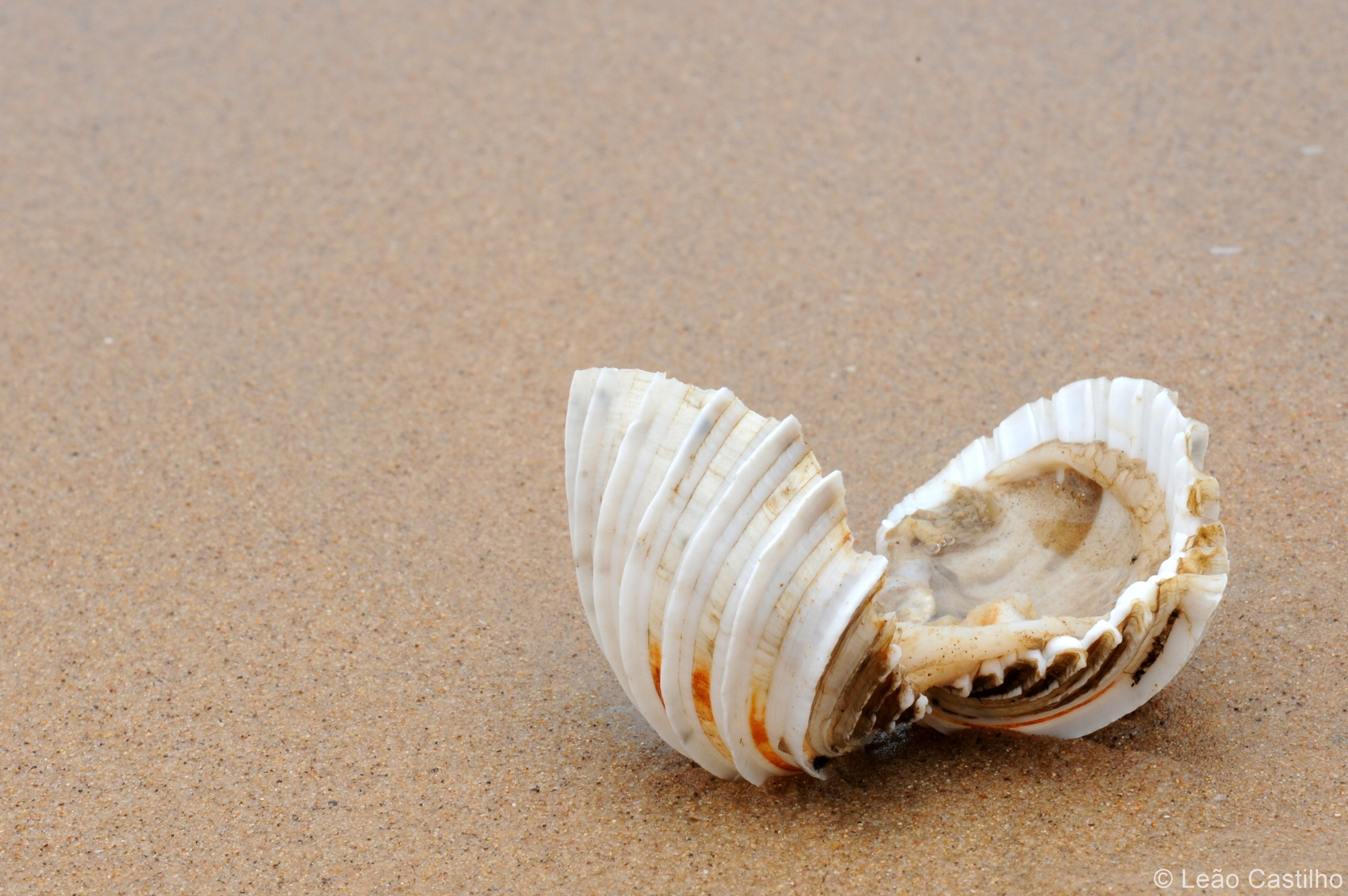 Photos from Angola. Simbahalu