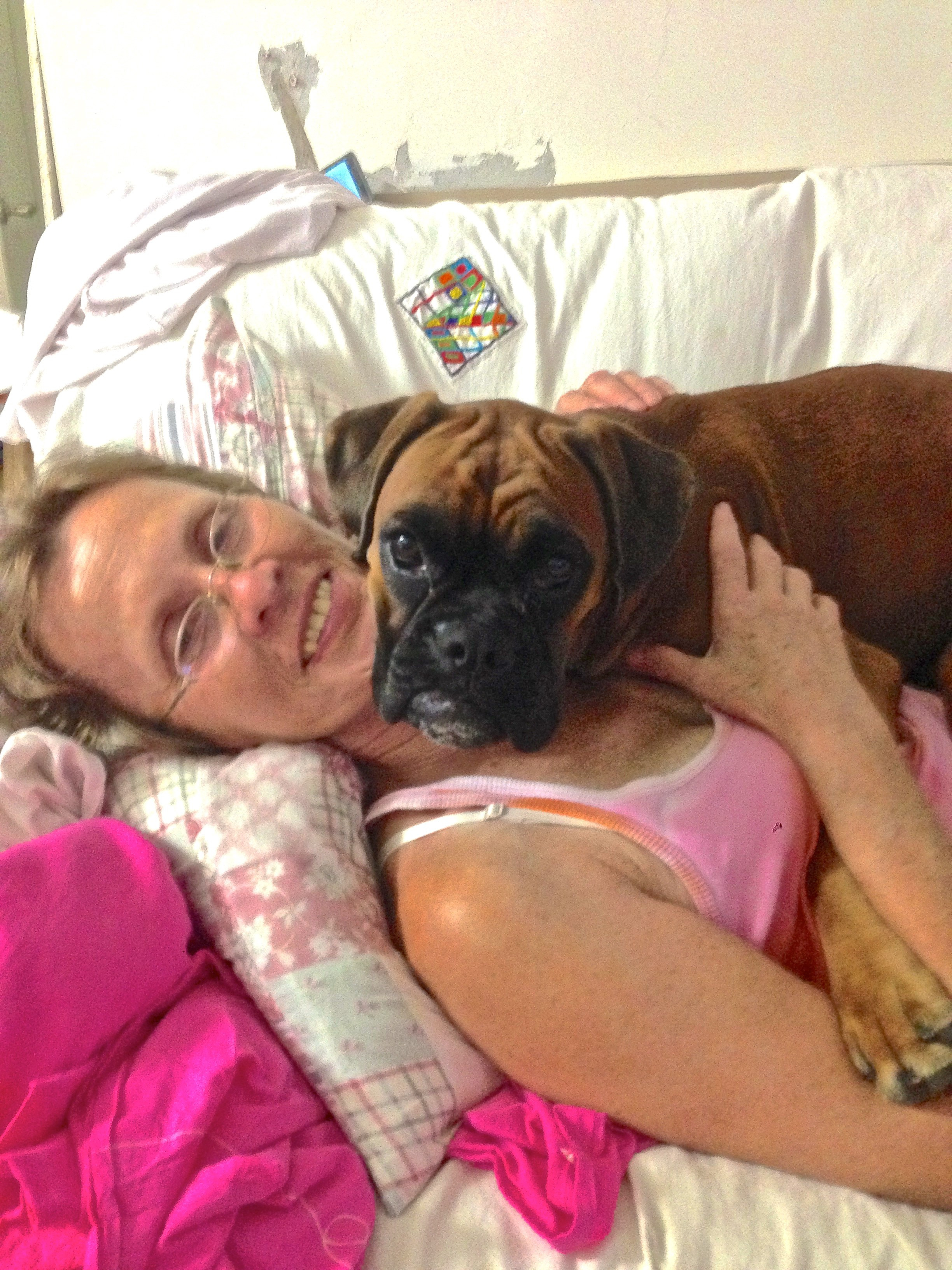 My ״Star״ Boxer Dog