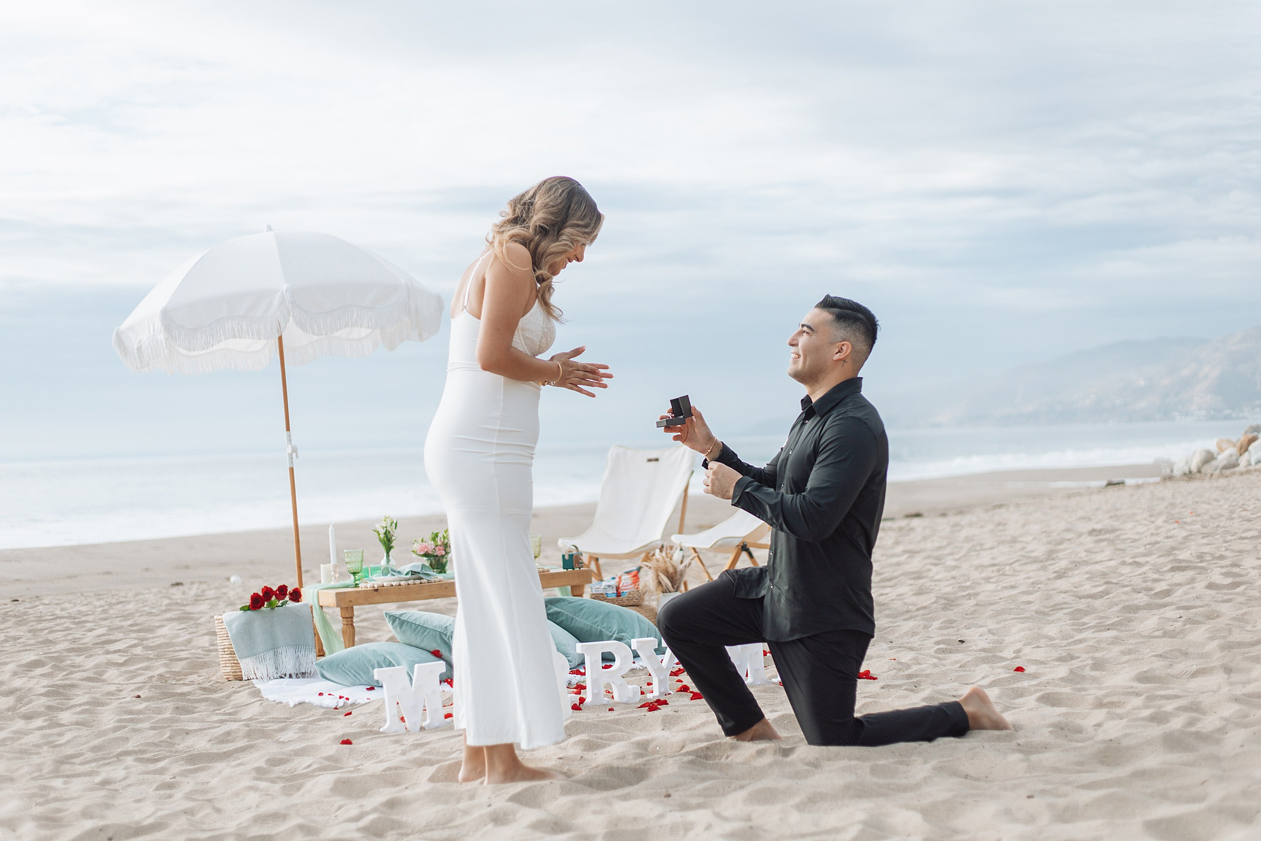 Proposal in the Malibu. Main