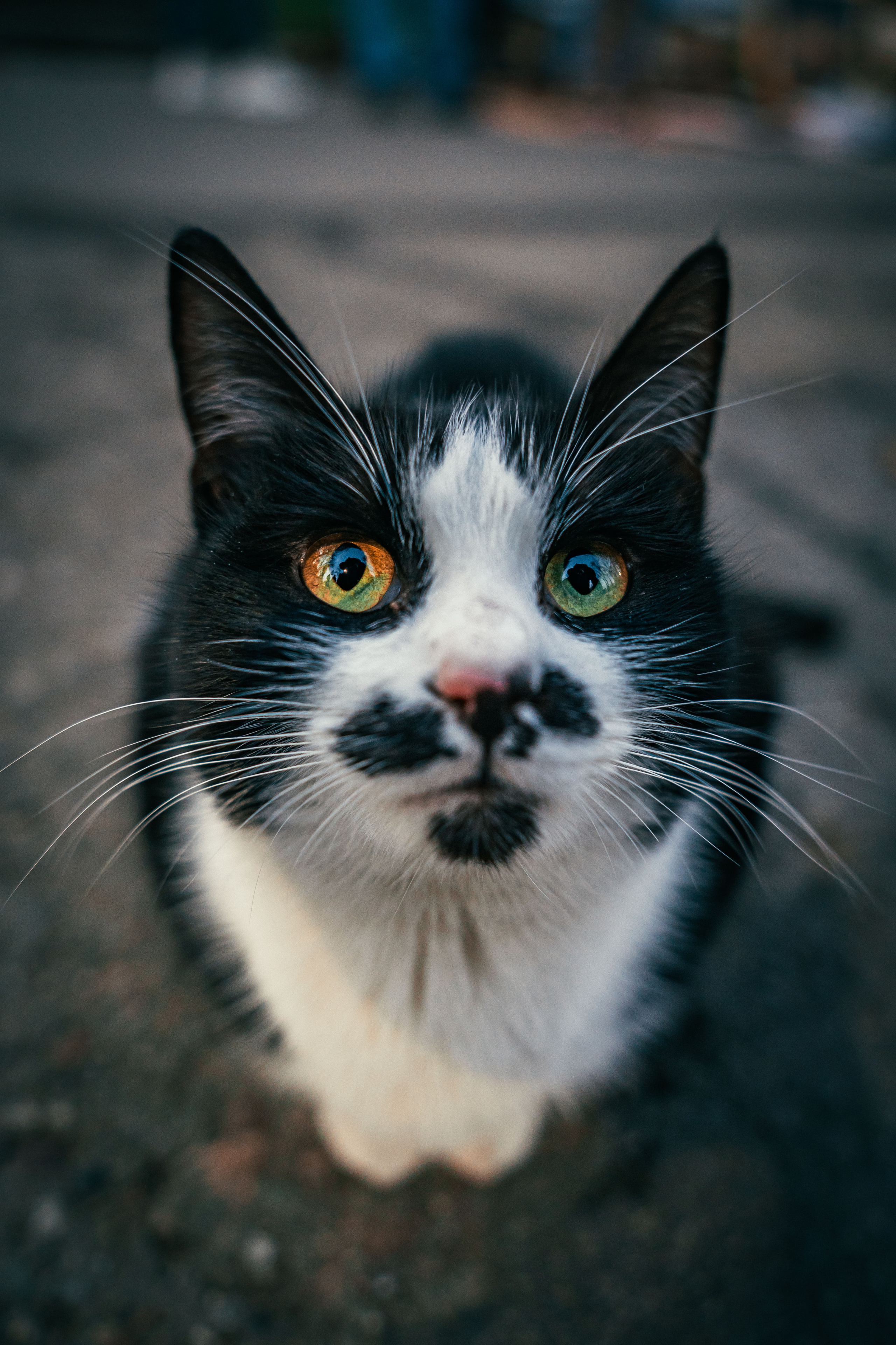 Стрит и Урбан. Георгий Намазов | Фотограф в Ташкенте