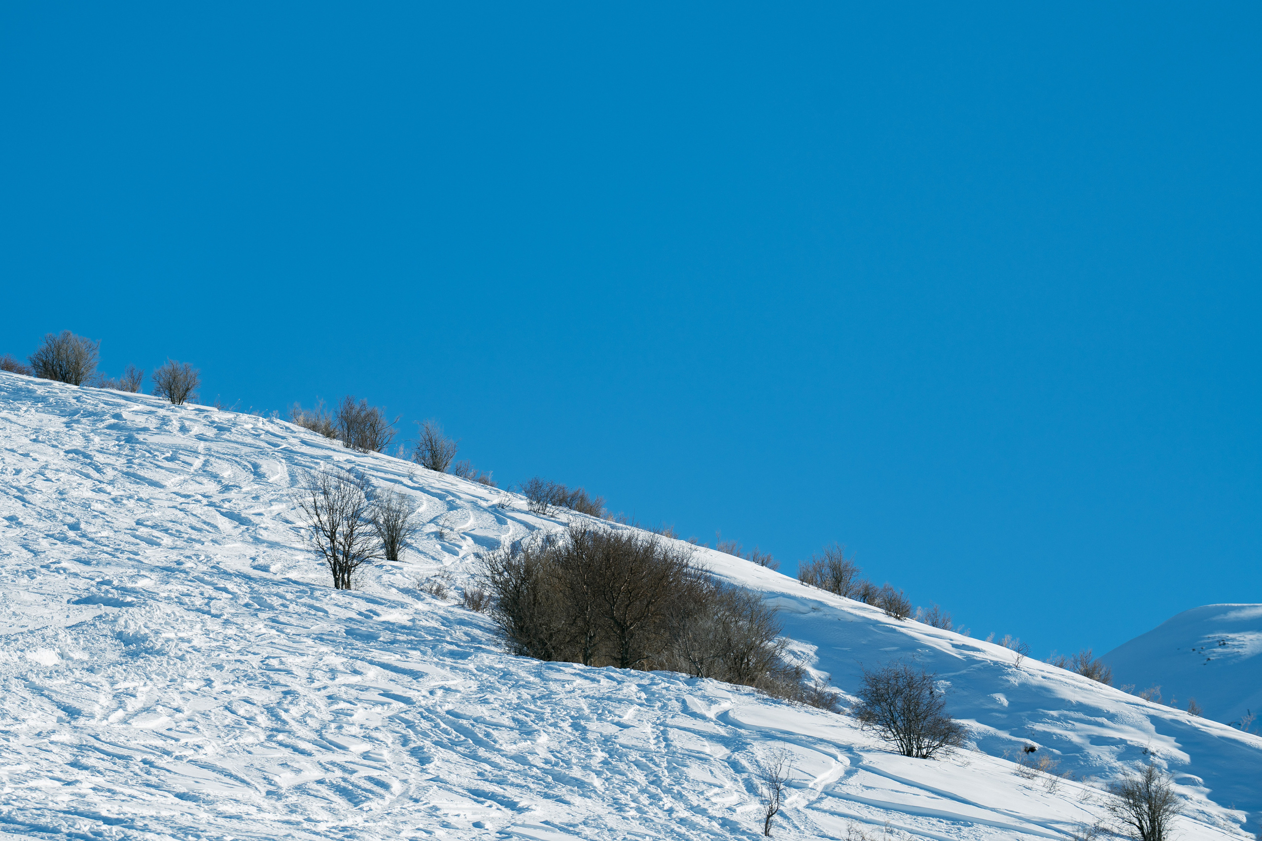 Snowboarding. Чимган. Георгий Намазов | Фотограф в Ташкенте