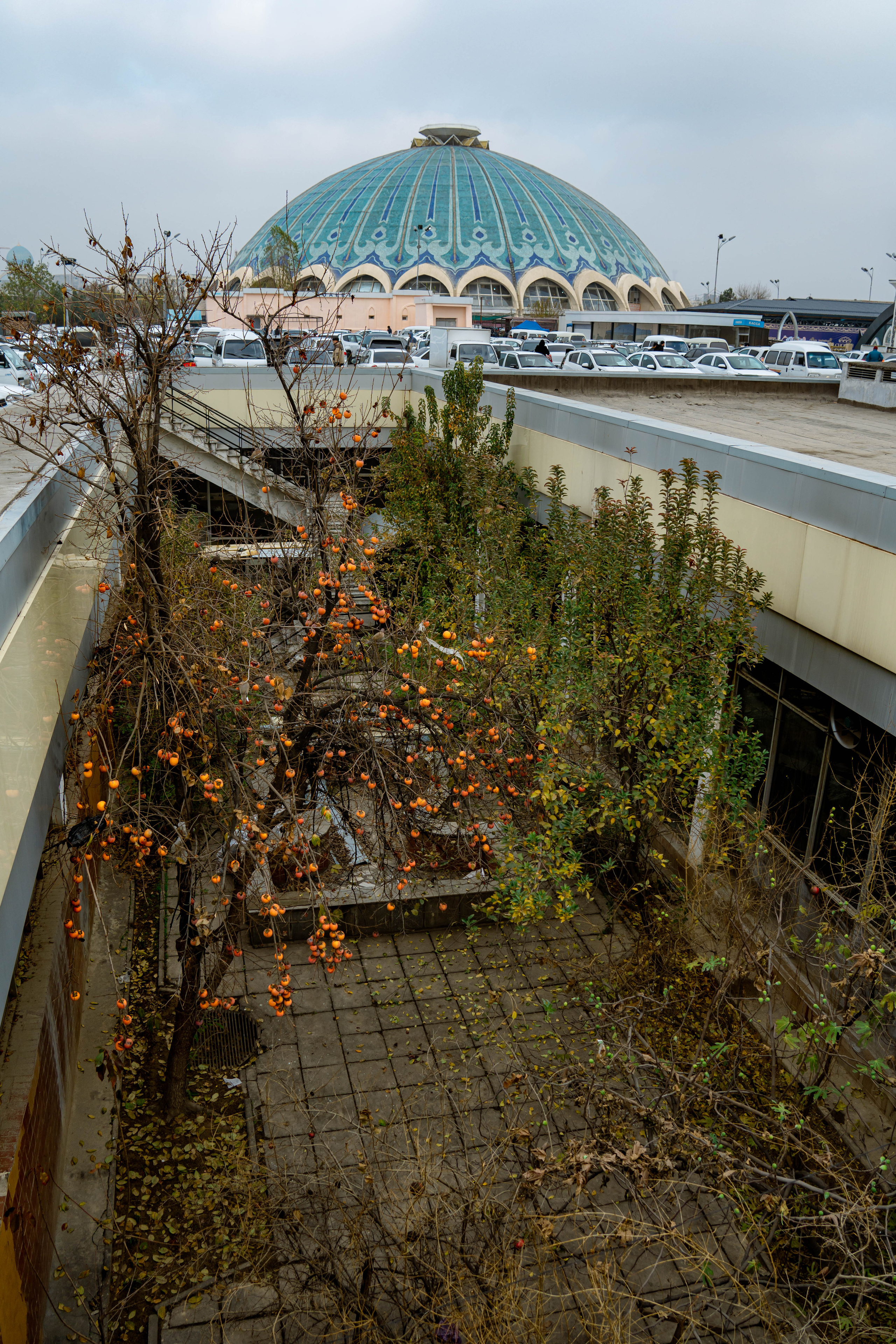 Базар «Чорсу»: история старейшего рынка Центральной Азии. Георгий Намазов | Фотограф в Ташкенте