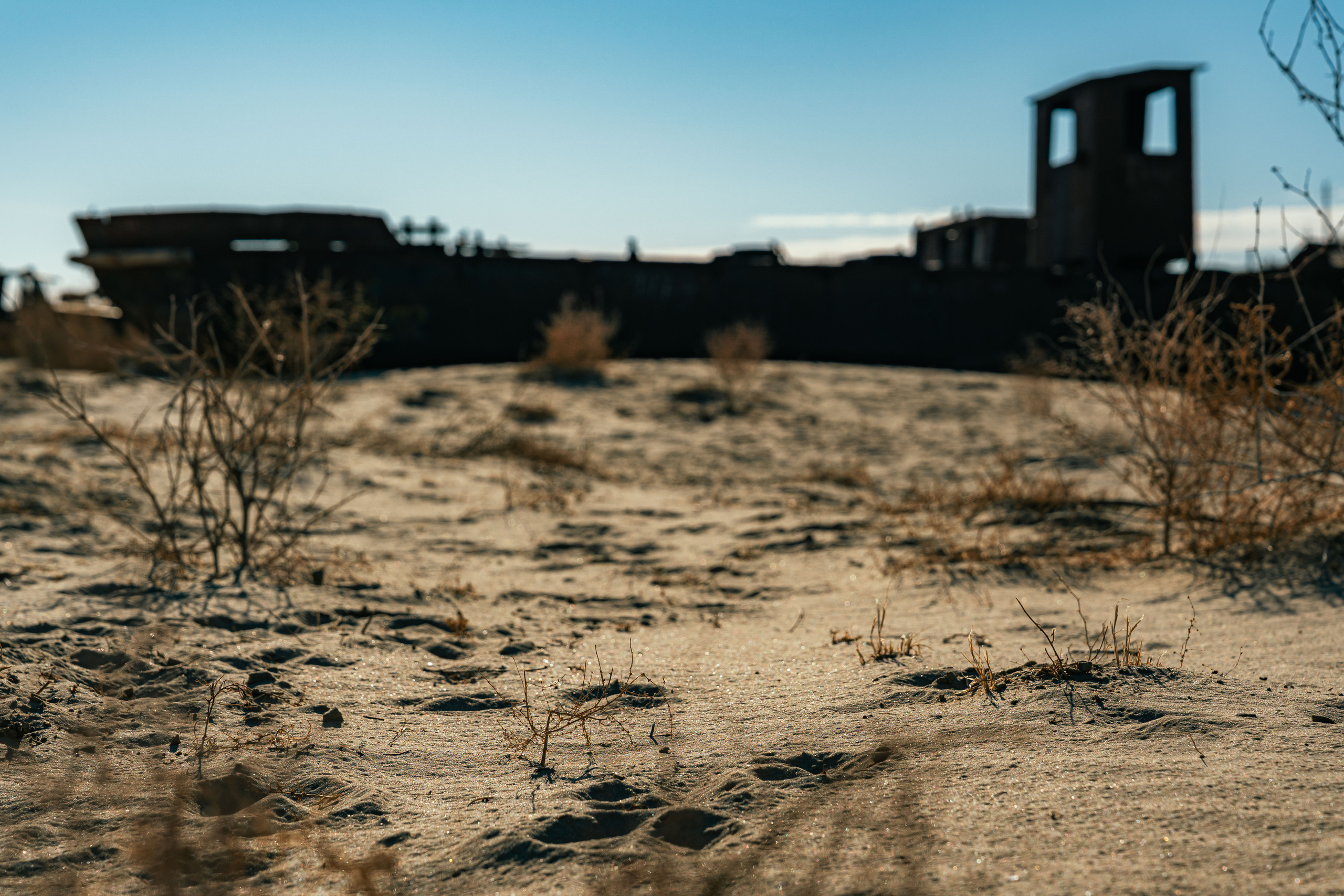 The ship graveyard of the Aral Sea. Георгий Намазов | Фотограф в Ташкенте