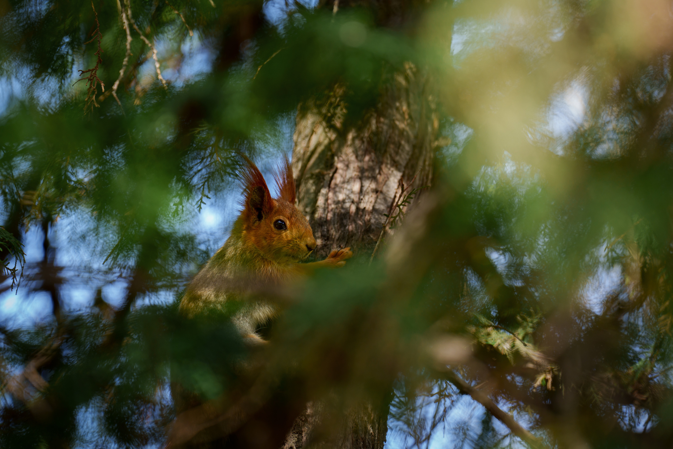 Стрит и Урбан. Георгий Намазов | Фотограф в Ташкенте
