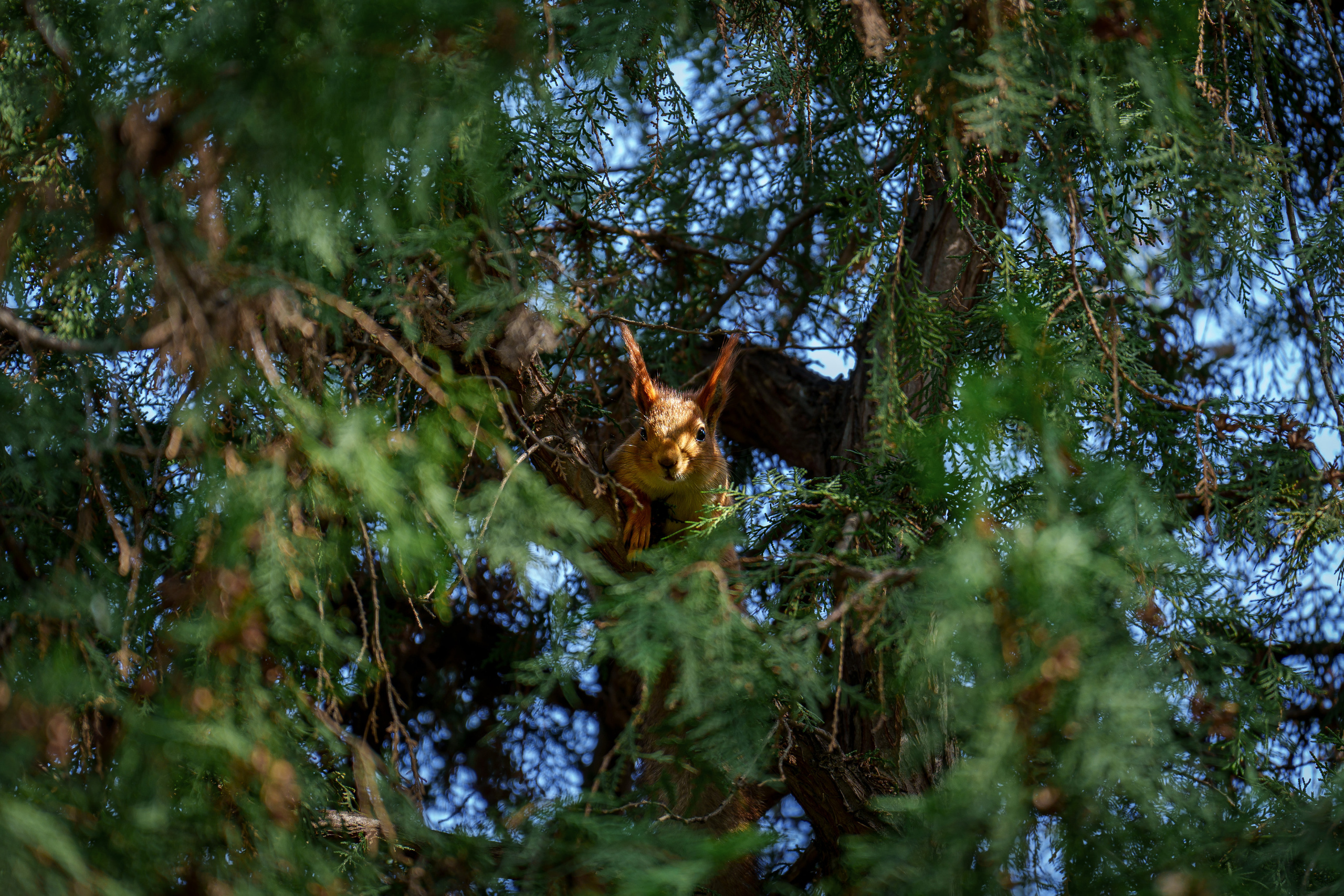 Стрит и Урбан. Георгий Намазов | Фотограф в Ташкенте