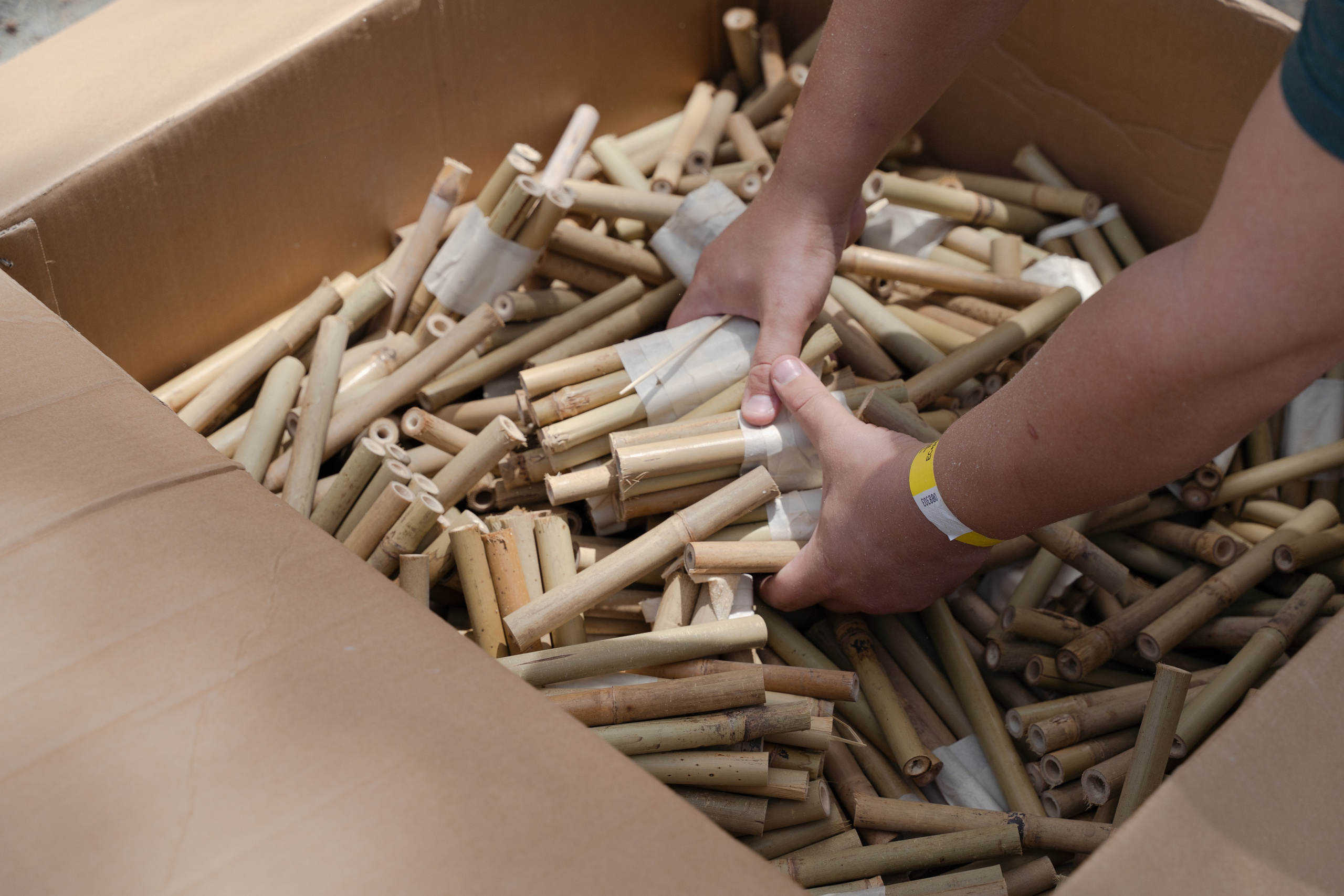 Events. Maryna Avramenko Photographer