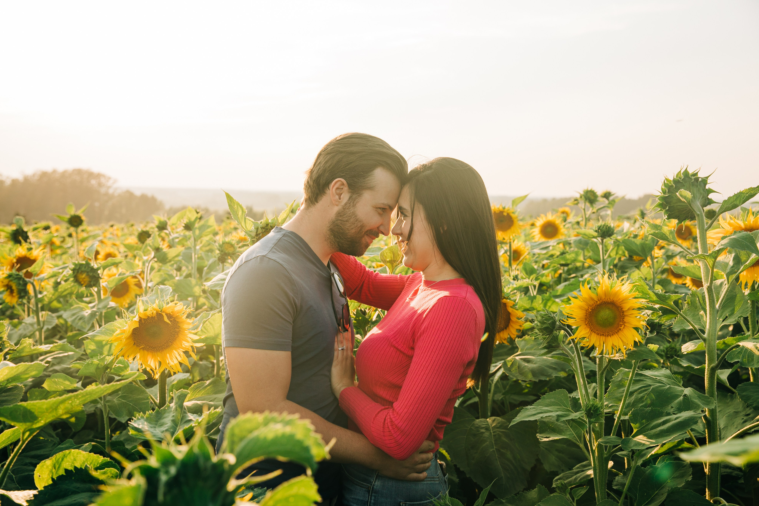 Bowden Sunmaze Ana Pau. Fotografía accesible en Calgary